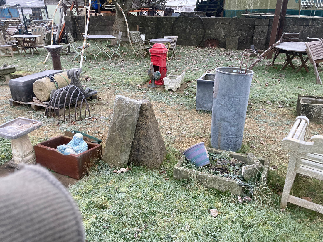 A Frosty December Morning at the Yard