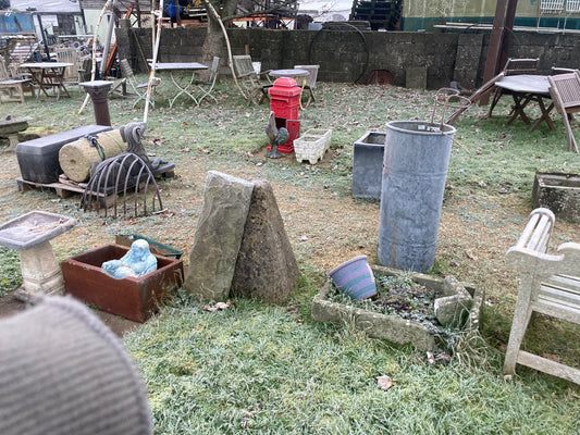 A Frosty December Morning at the Yard