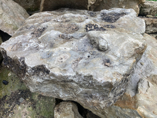 Create a Stunning Waterfall with Somerset Reclamation’s Unique Stones