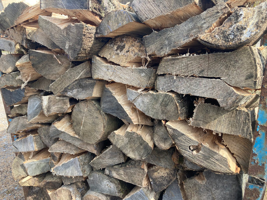 A Summer Day in 2023: Preparing Ash Logs for Seasoning