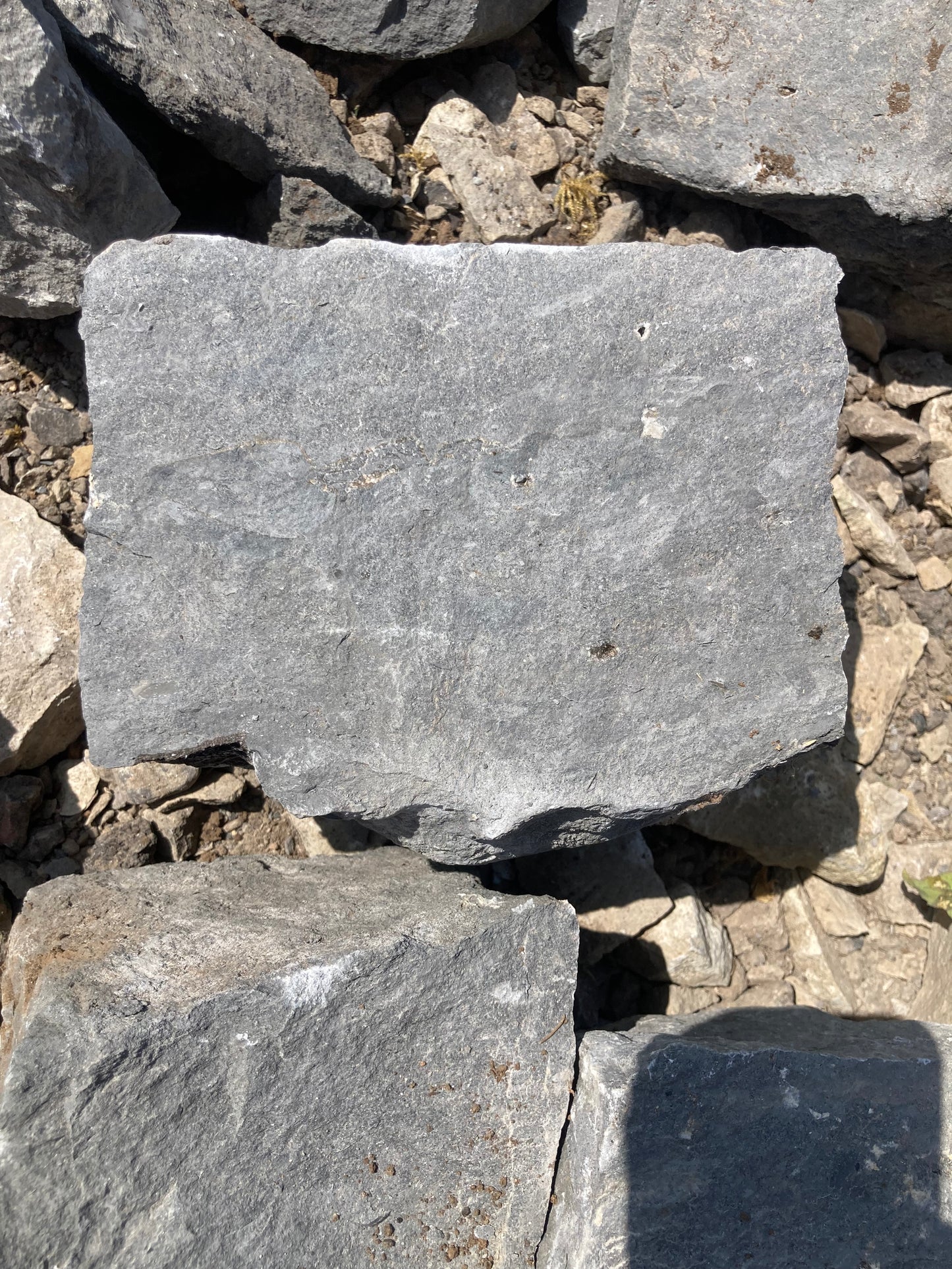 Blue Lias Building Stone