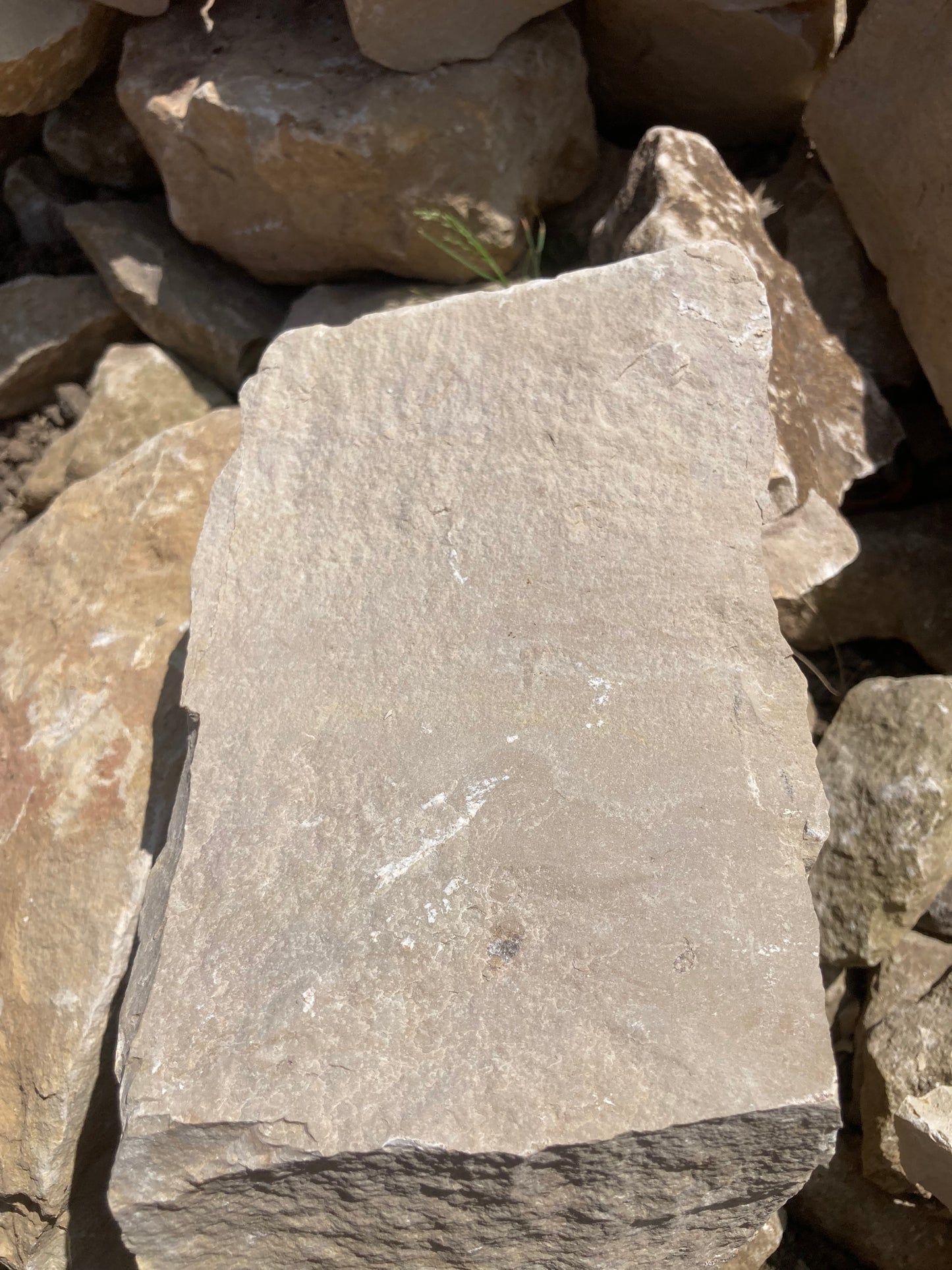 High Quality White Lias Limestone Mendip Building Stone