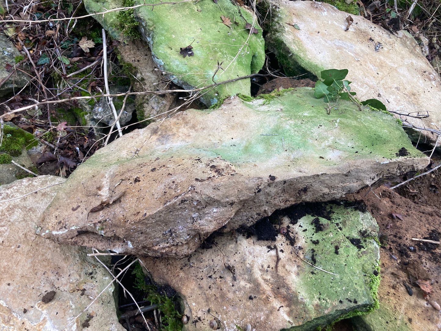 Large Flats Mendip Dry Stone Walling Stone Per Dumpy Bulk Bag