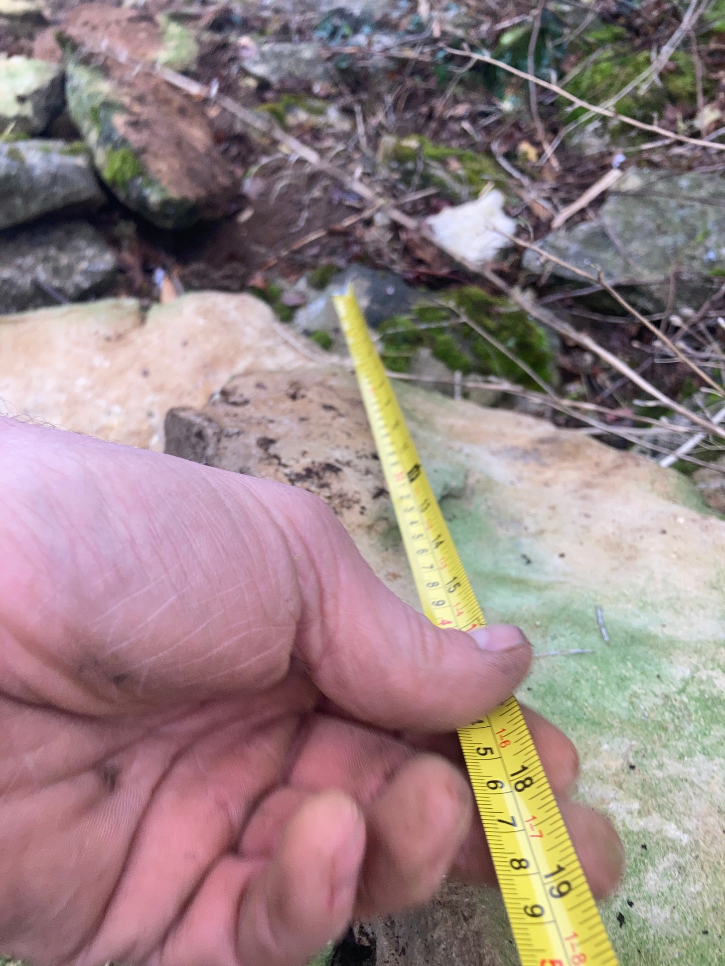 Large Flats Mendip Dry Stone Walling Stone Per Dumpy Bulk Bag