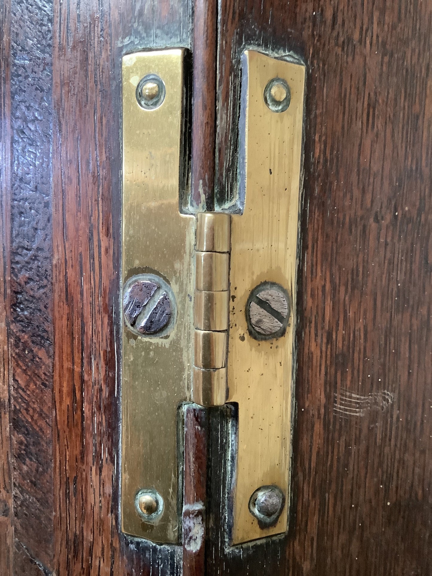 Brass T Hinges