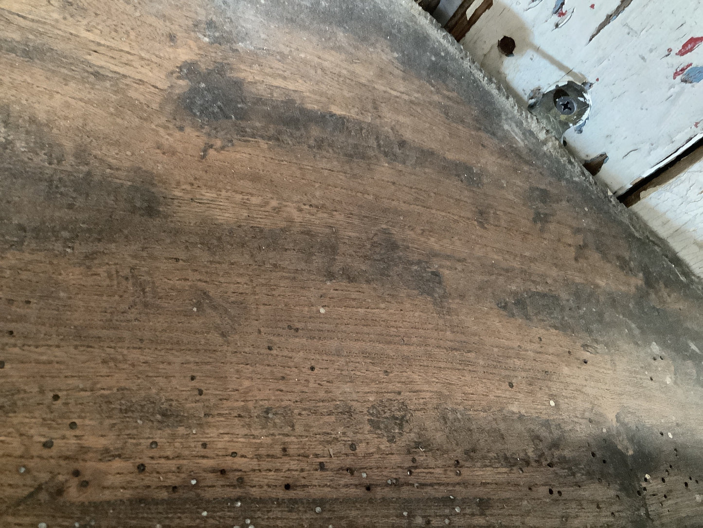 Old woodworm damage