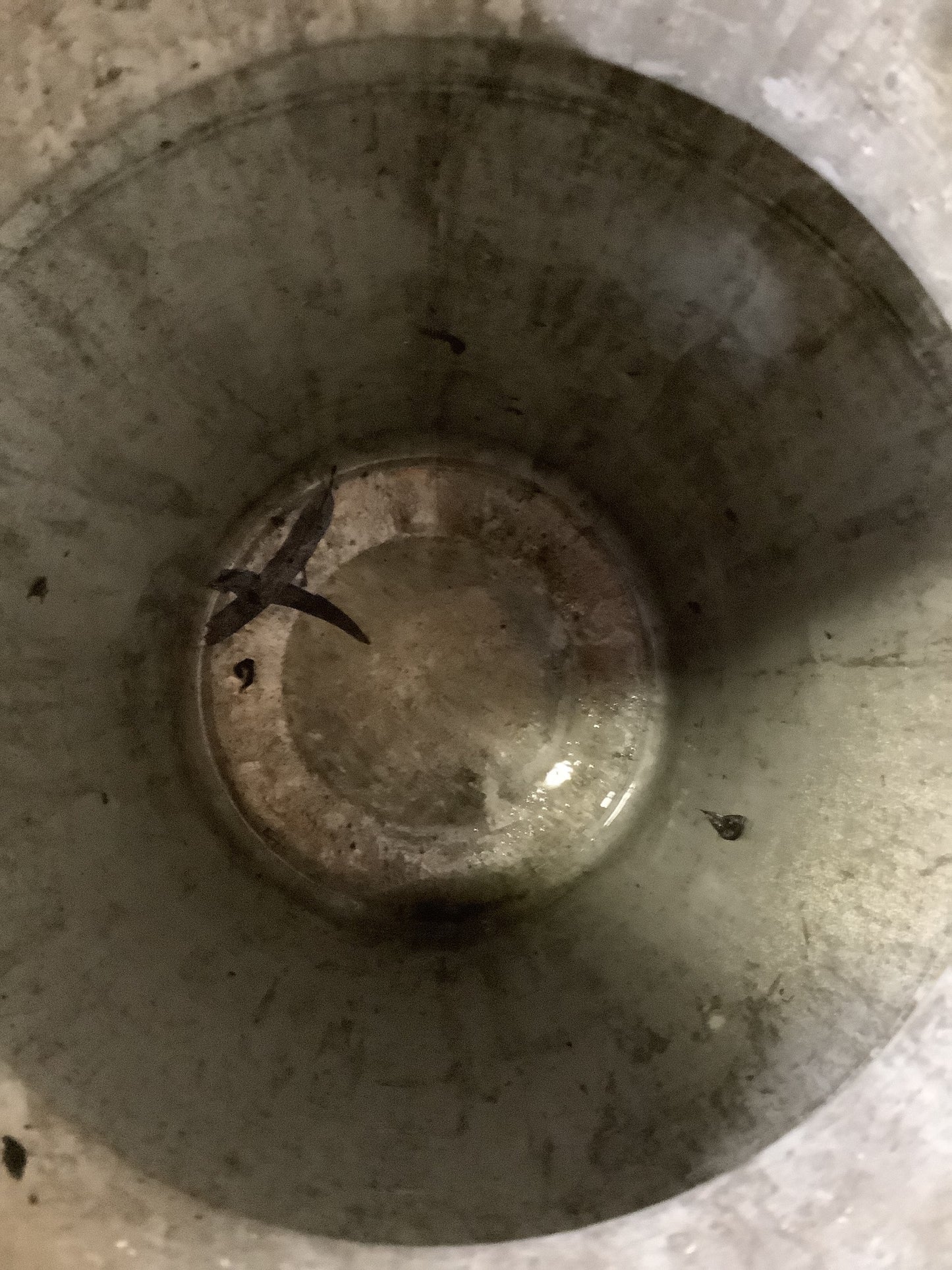 10 Gallon Milk Marketing Board 1960s Tarnished Aluminium Milk Churn Metal