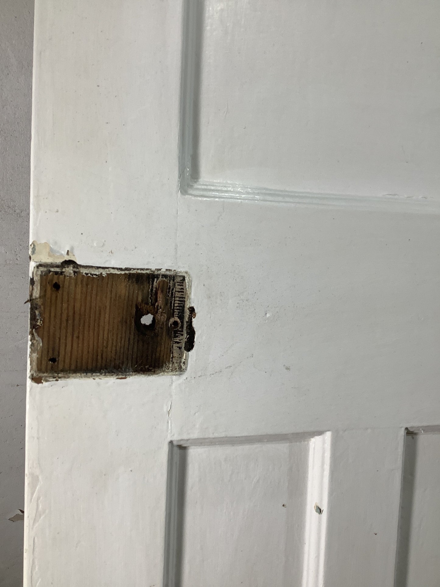 5th Pic 1930s Internal Painted Pitch Pine Reclaimed Door