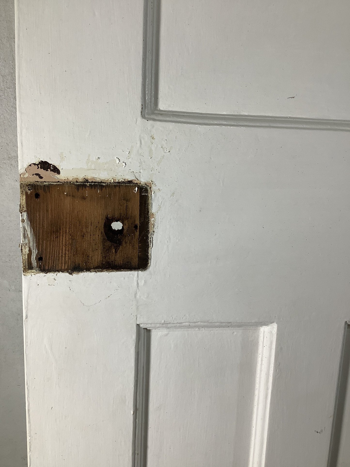 6th Pic 1930s Internal Painted Pitch Pine Reclaimed Door