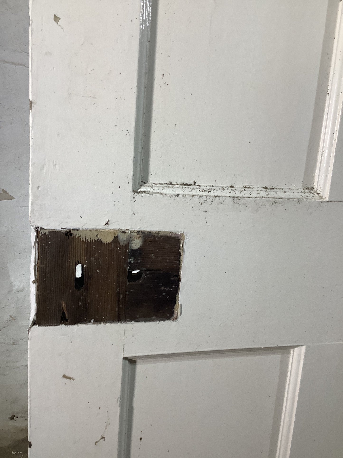 10th Pic 1930s Internal Painted Pitch Pine Reclaimed Door