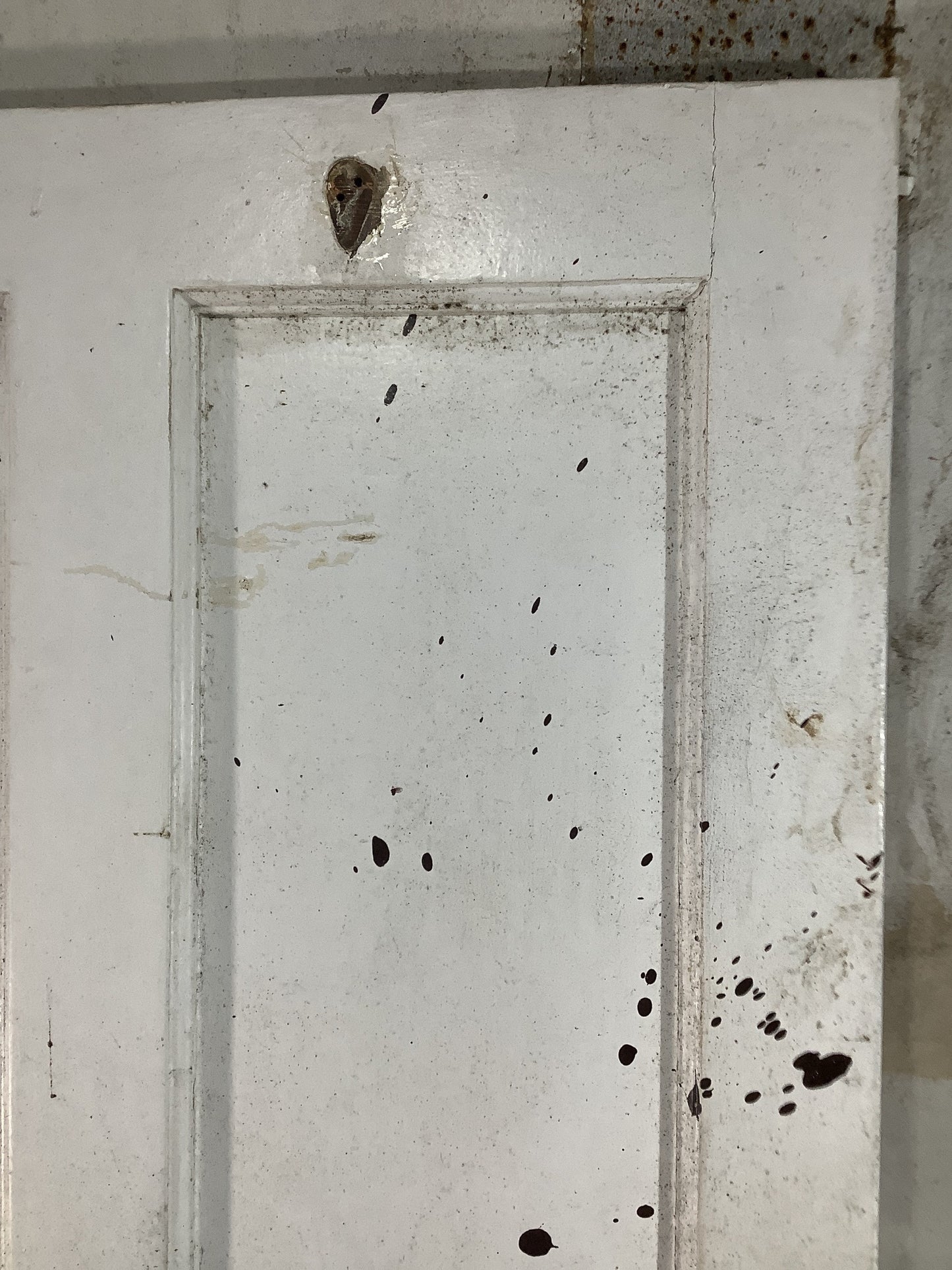 4th Pic 1930s Internal Painted Pitch Pine Reclaimed Door