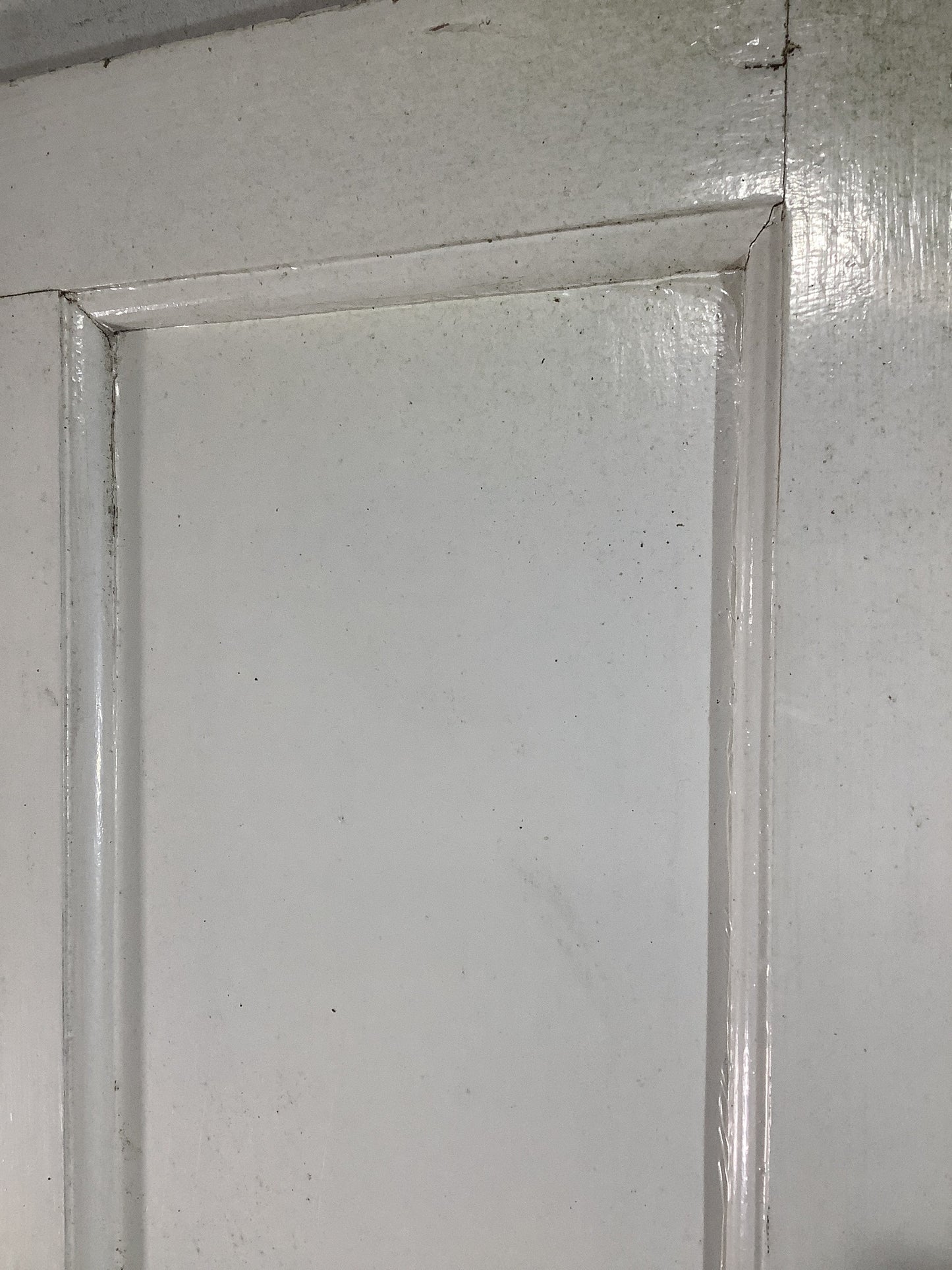 6th Pic 1930s Internal Painted Pine Reclaimed Door
