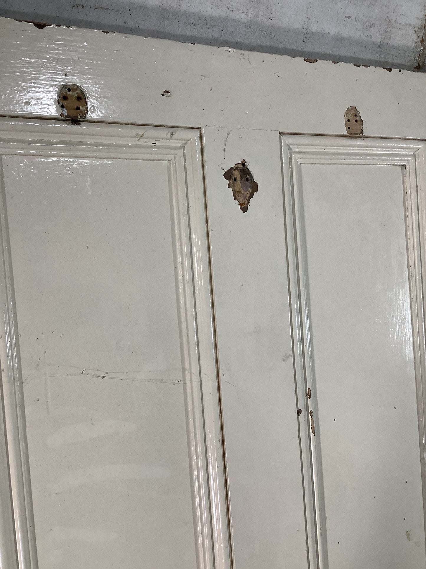 10th Pic Victorian Internal Painted Pine Reclaimed Door