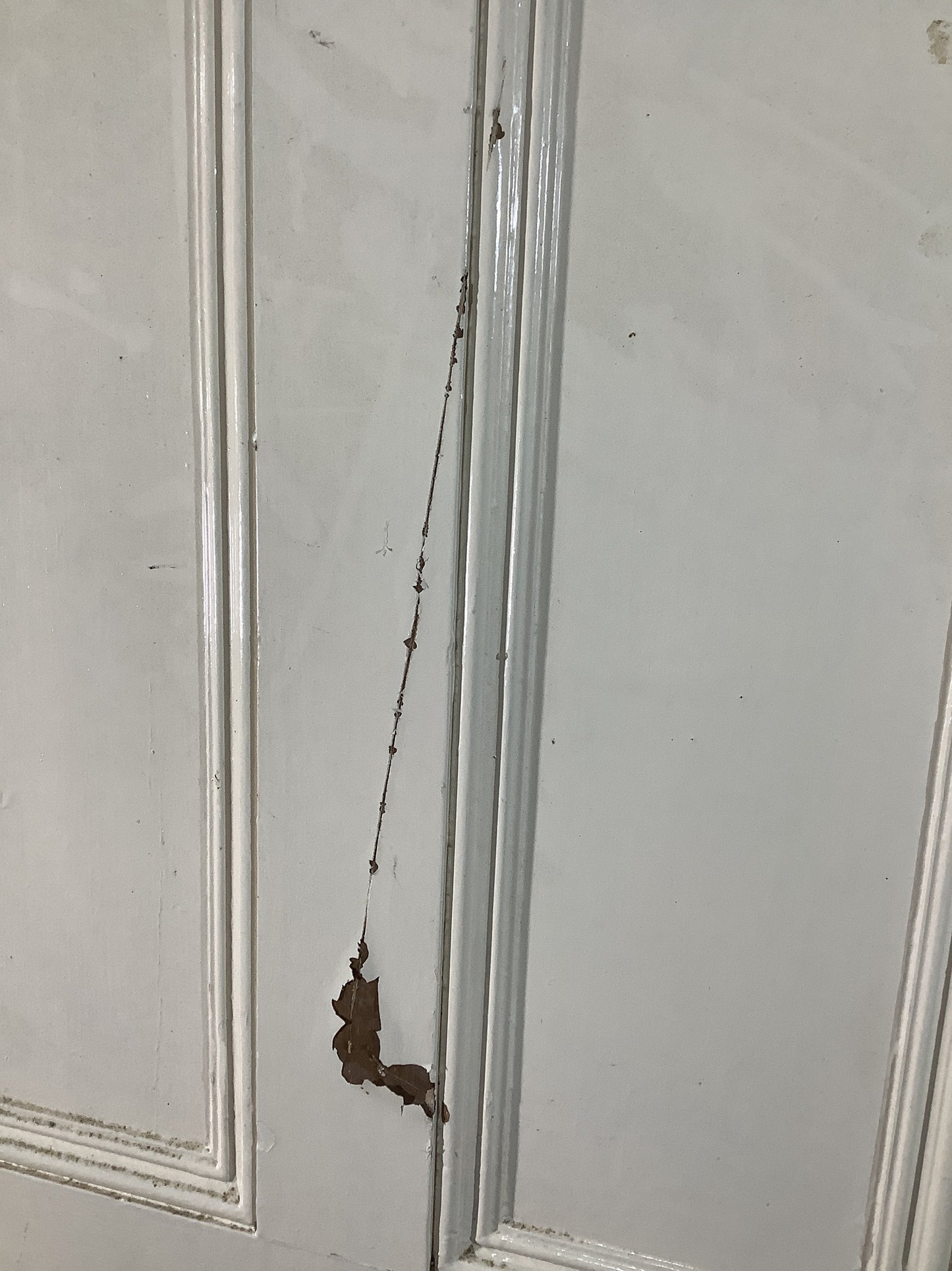 11th Picture showing scratch in the paint