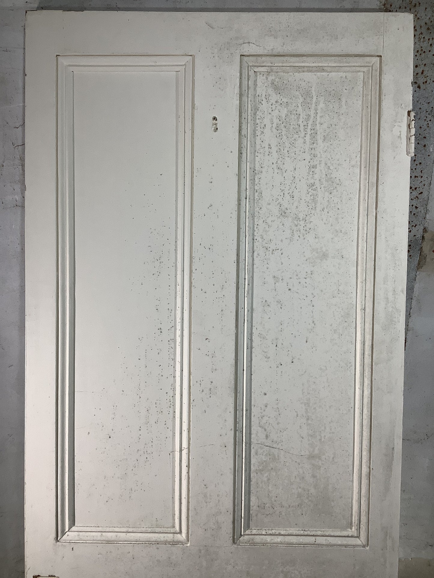 8th Pic Victorian Internal Painted Pine Reclaimed Door