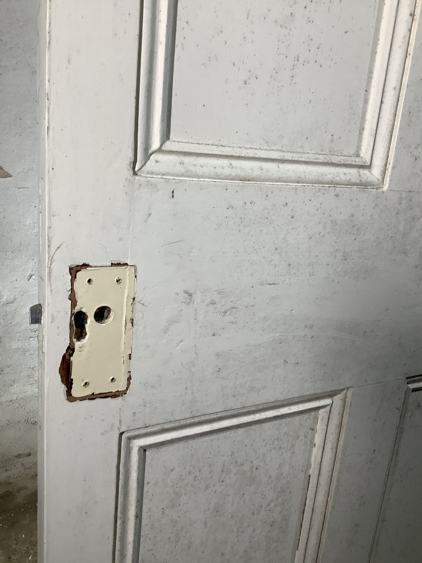 10th Pic Victorian Internal Painted Pine Reclaimed Door