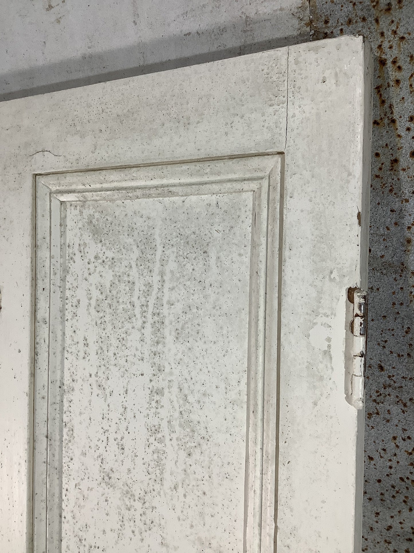 11th Pic Victorian Internal Painted Pine Reclaimed Door