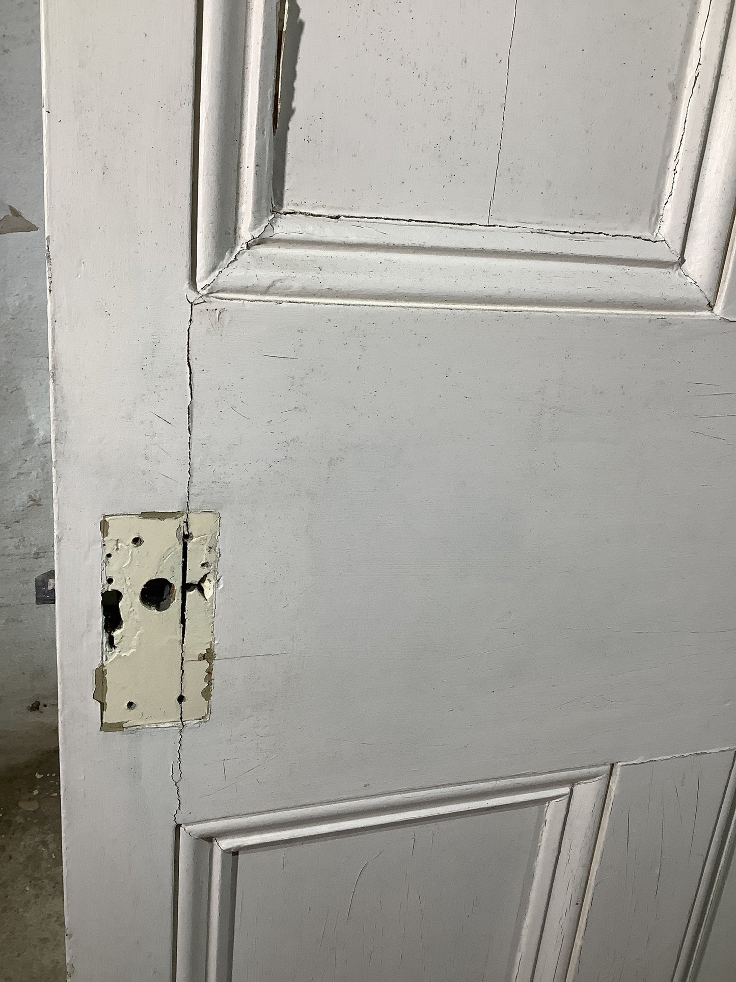 10th Pic Victorian Internal Painted Pine Reclaimed Door
