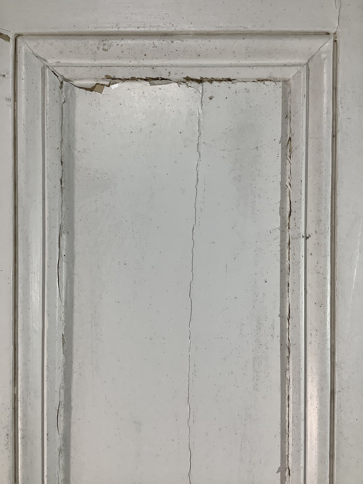 11th Pic Victorian Internal Painted Pine Reclaimed Door