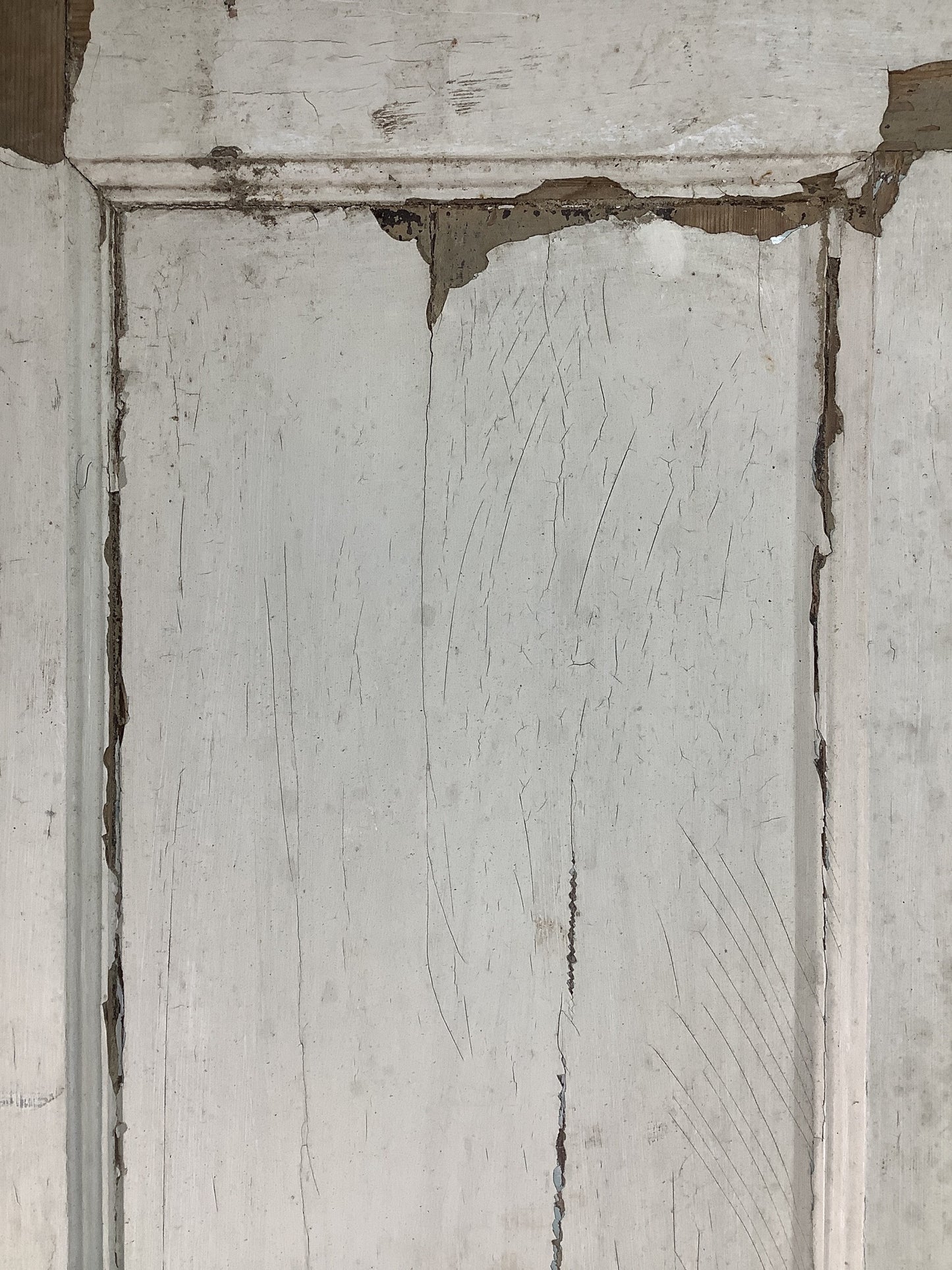 12th Pic Georgian Internal Painted Pine Reclaimed Door