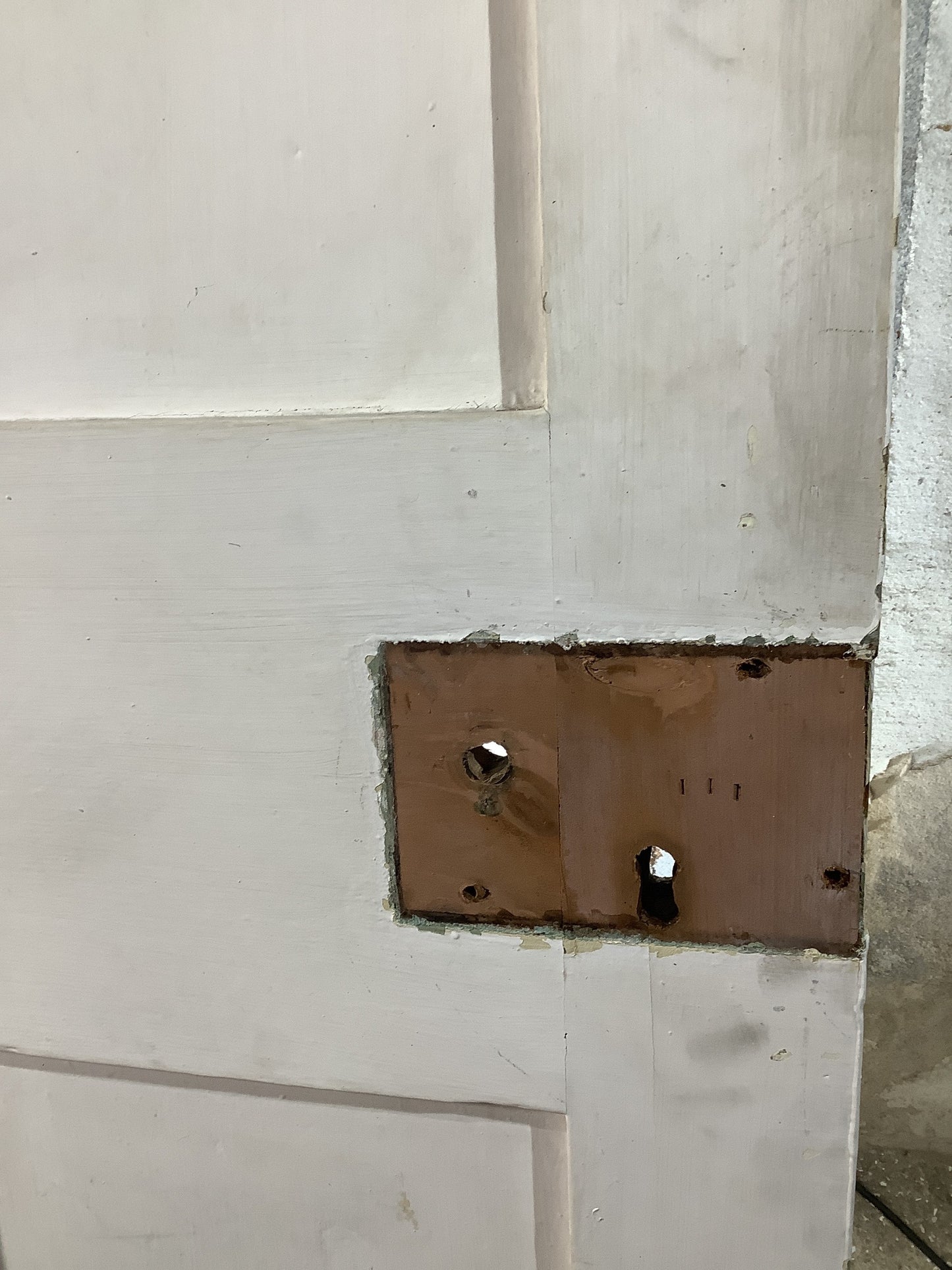 10th Pic Victorian Internal Painted Pine Reclaimed Door