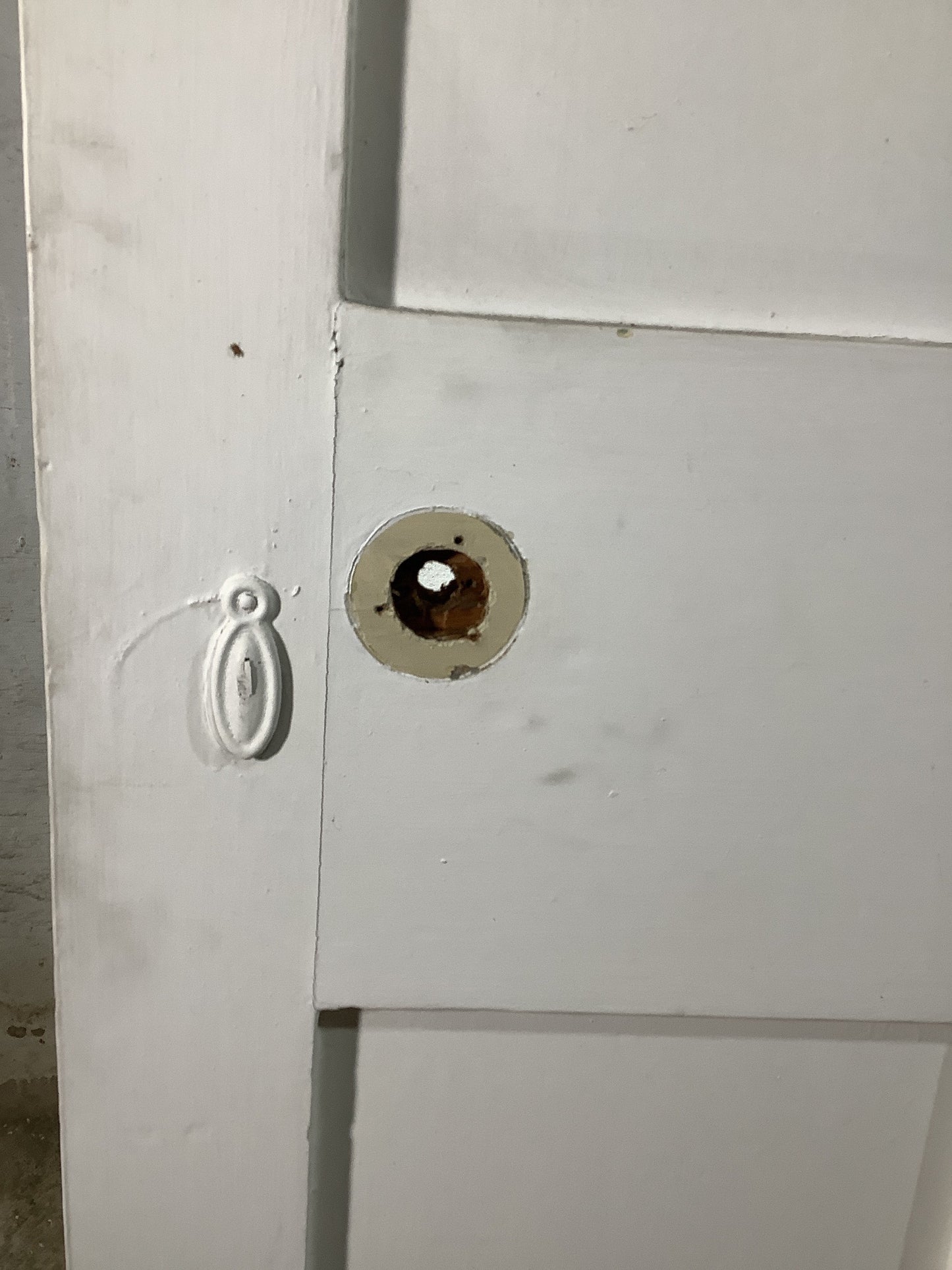 6th Pic Victorian Internal Painted Pine Reclaimed Door