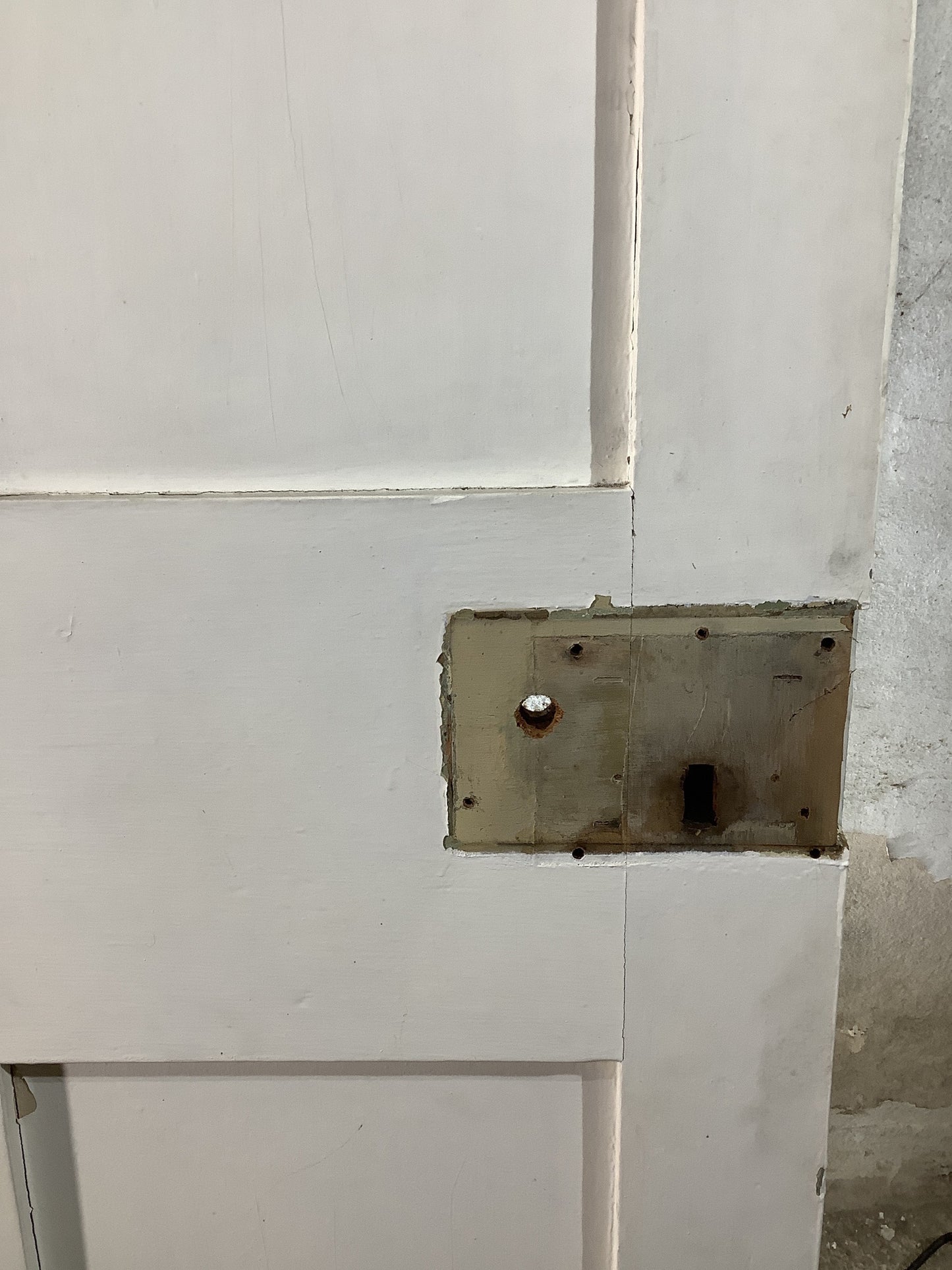 10th Pic Victorian Internal Painted Pine Reclaimed Door
