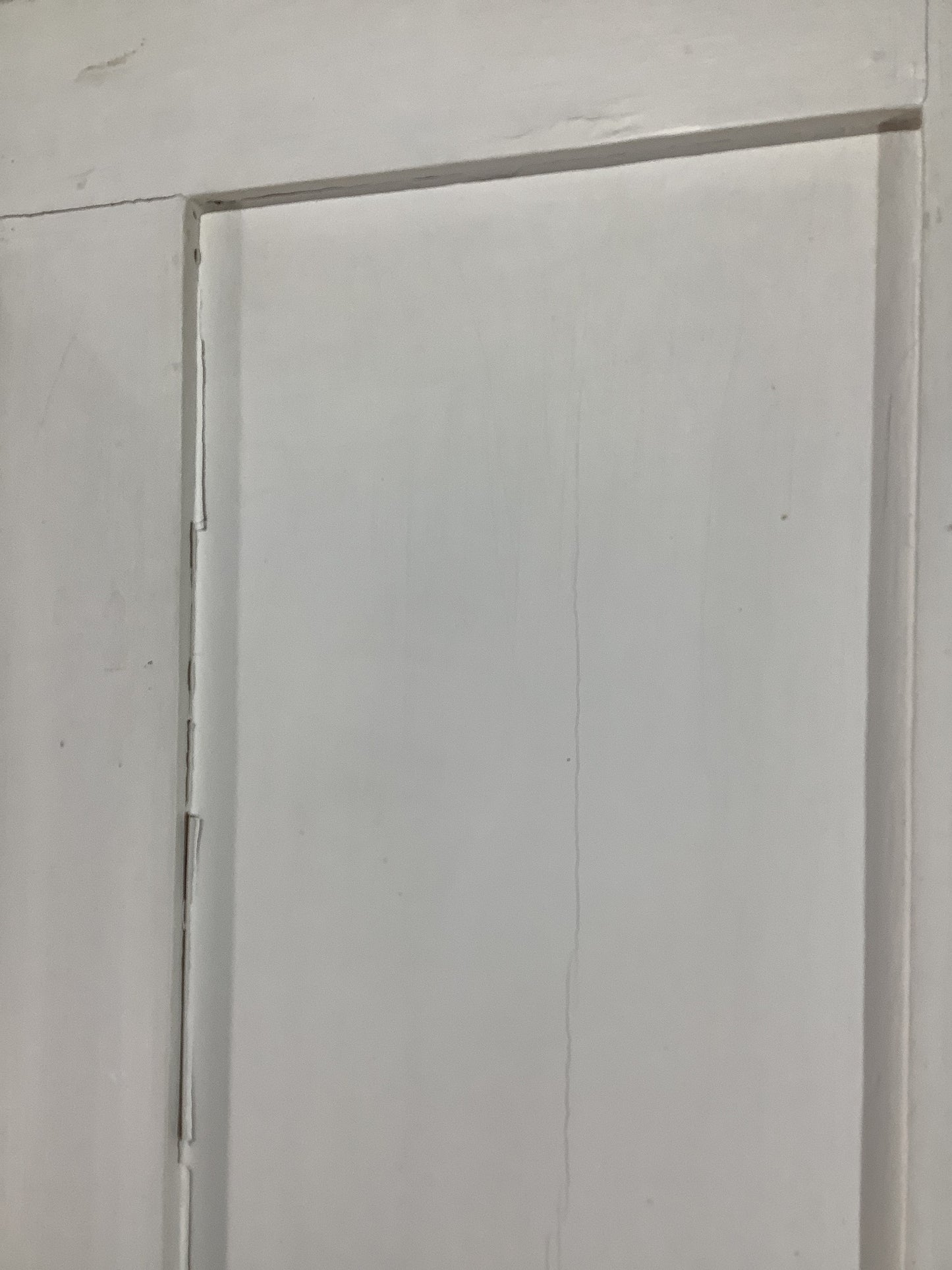 11th Pic Victorian Internal Painted Pine Reclaimed Door