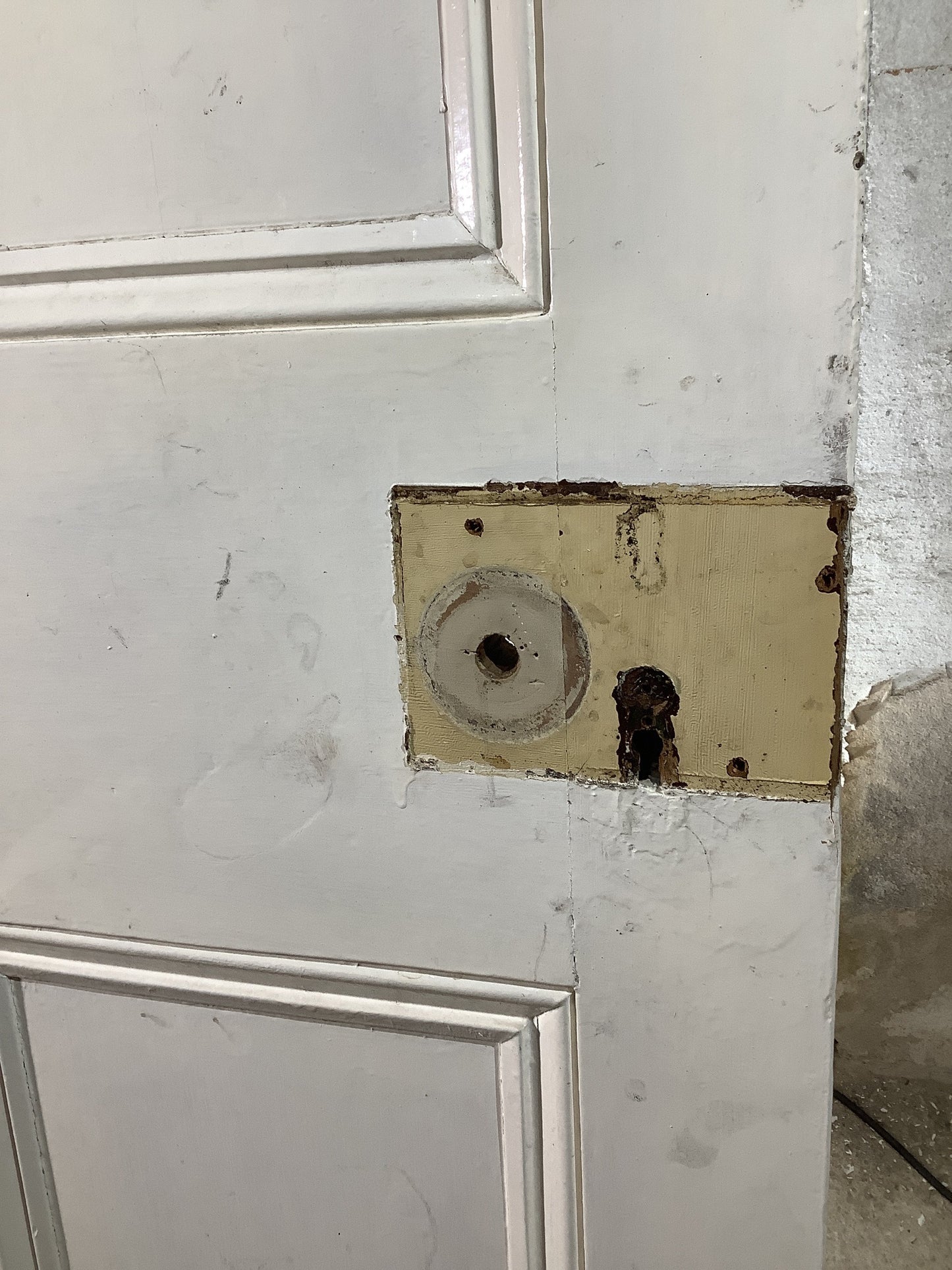 6th Pic Victorian Internal Painted Pine Reclaimed Door
