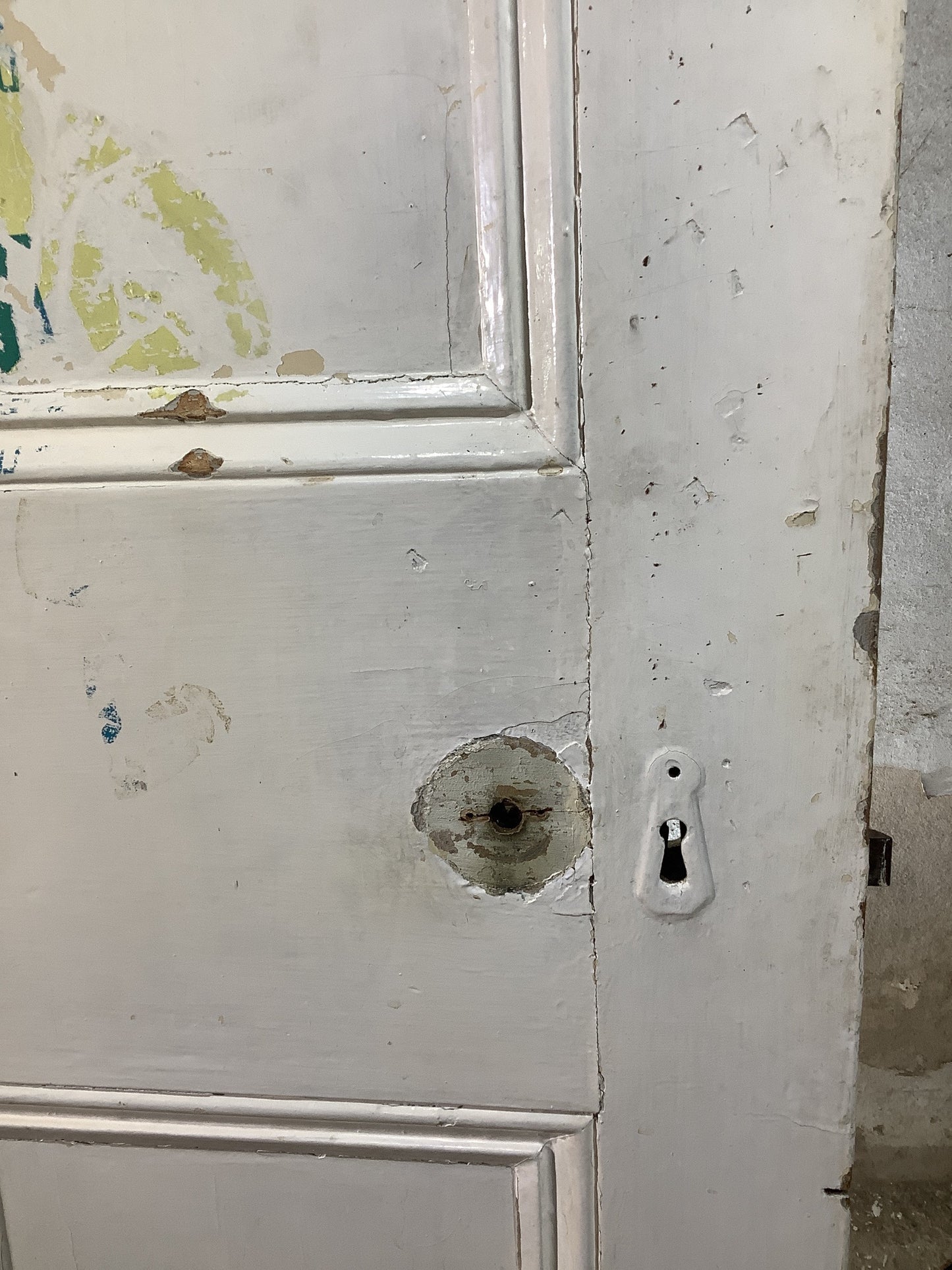 4th Pic Victorian Internal Painted Pine Reclaimed Door
