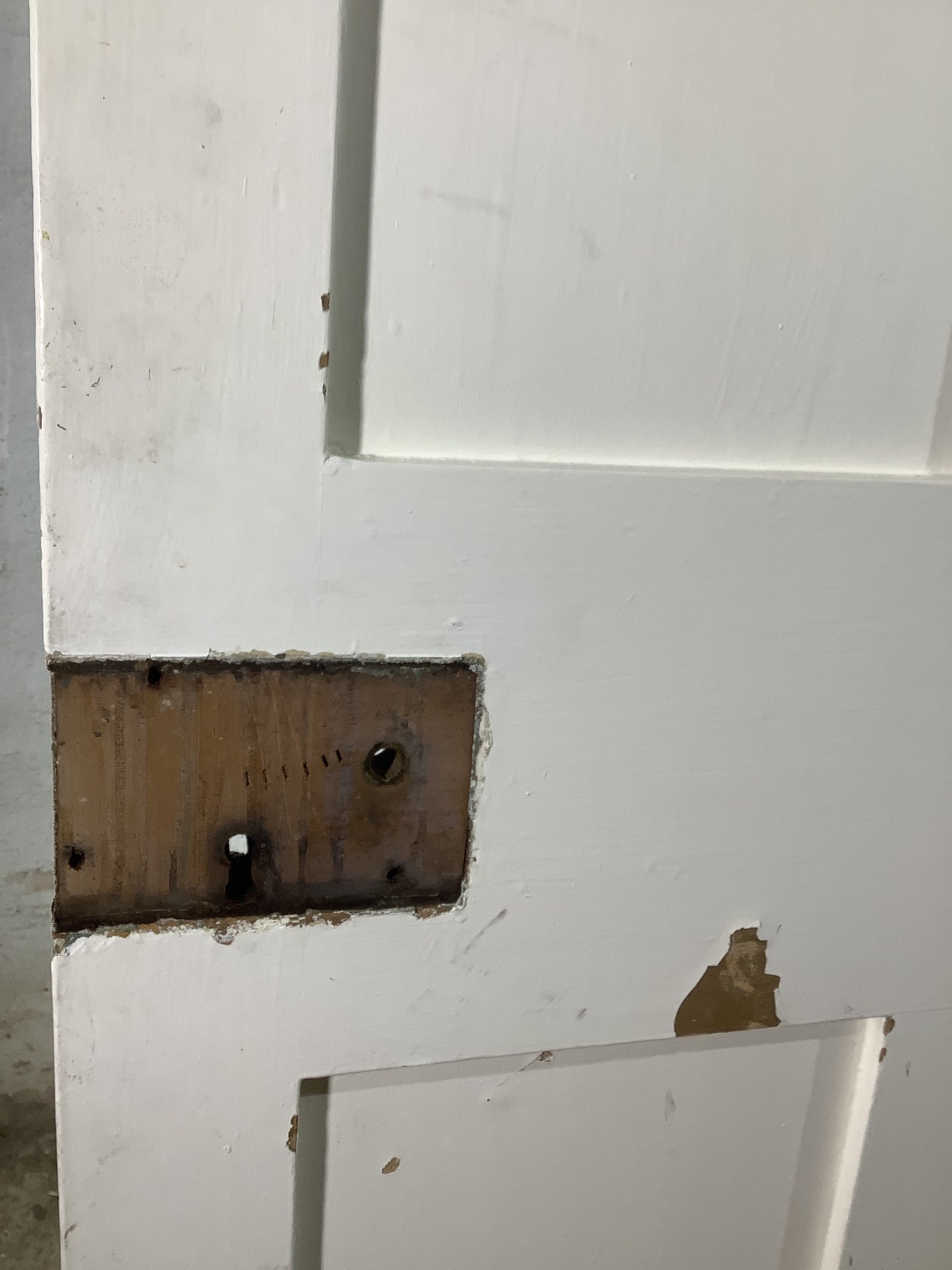 10th Pic Victorian Internal Painted Pine Reclaimed Door