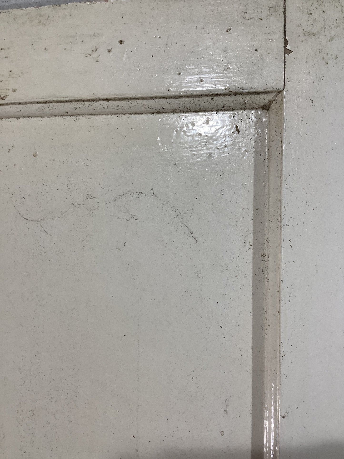 10th Pic 1950s 1960s Internal Painted Pine Reclaimed Door