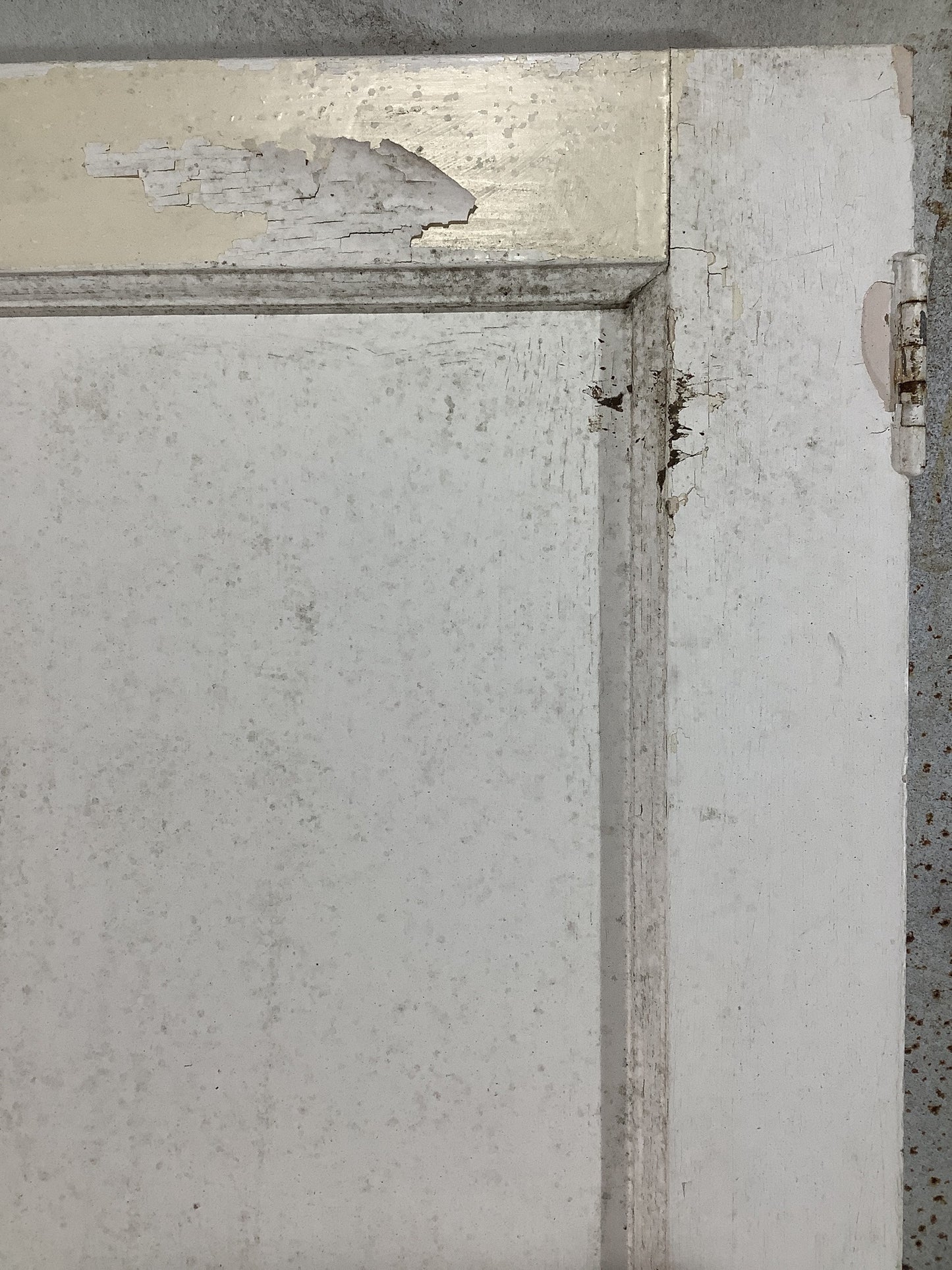 4th Pic 1950s 1960s Internal Painted Pine Reclaimed Door