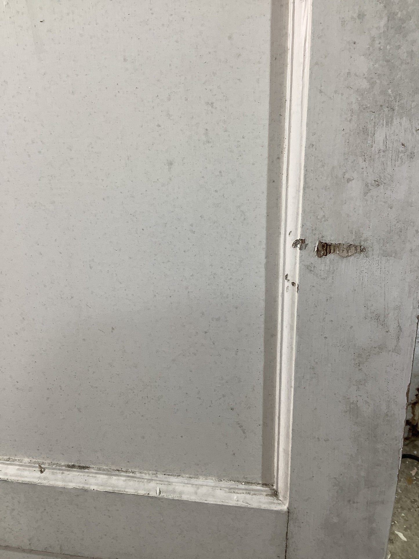 11th Pic 1950s 1960s Internal Painted Pine Reclaimed Door