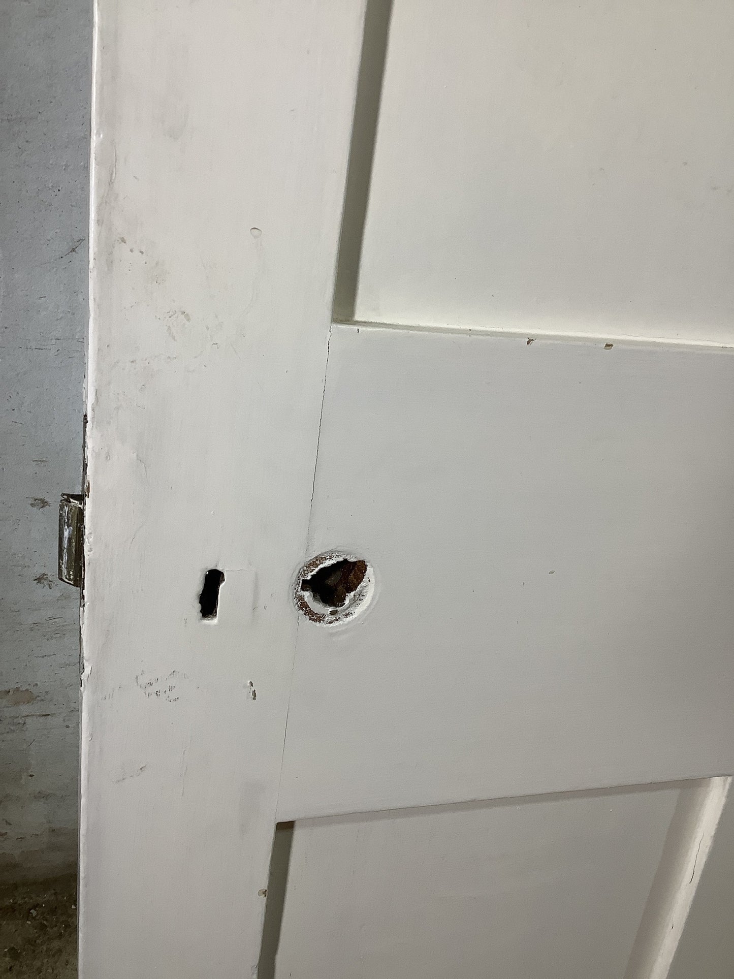 11th Pic Victorian Internal Painted Pine Reclaimed Door