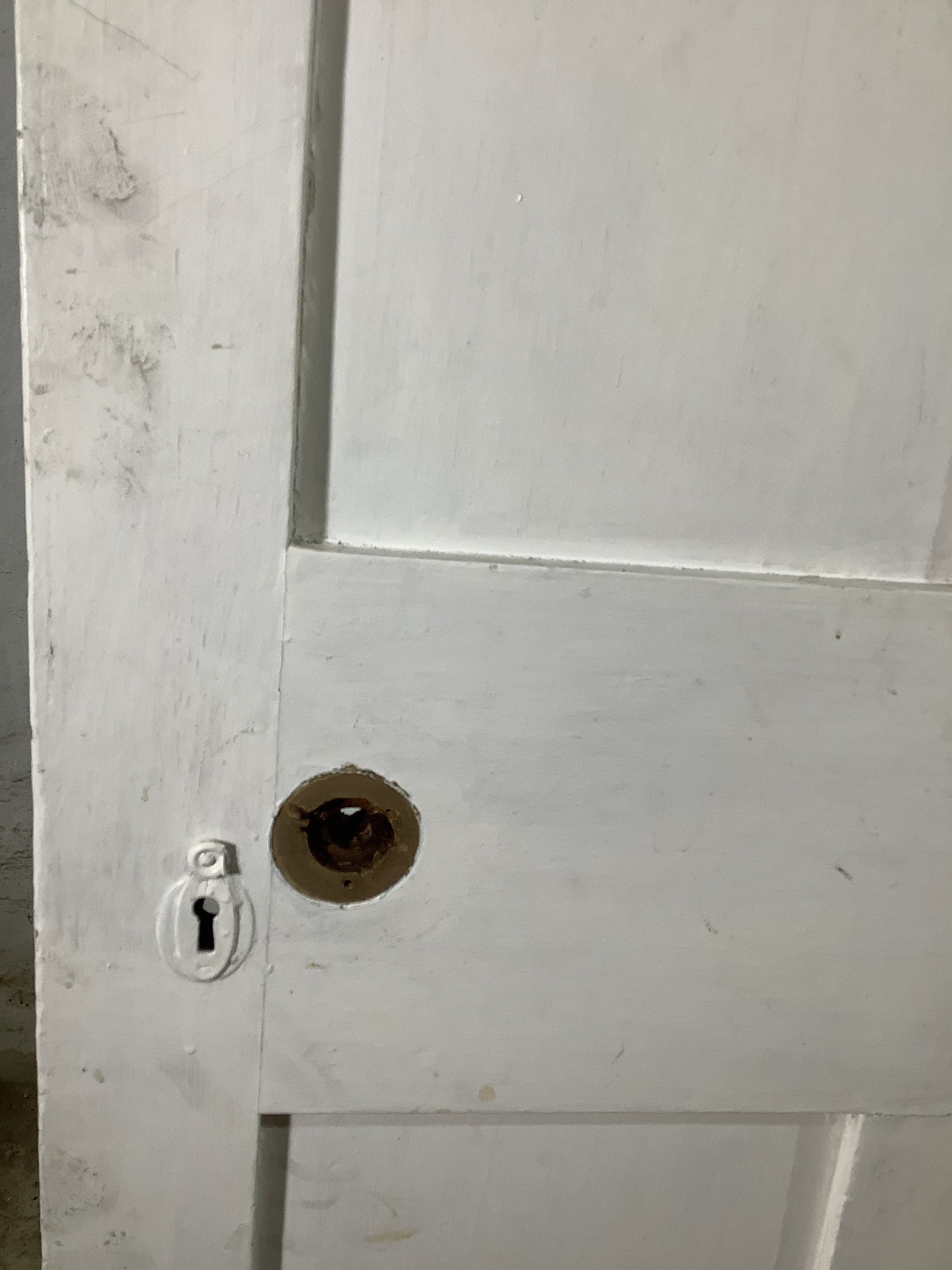 10th Pic Victorian Internal Painted Pine Reclaimed Door