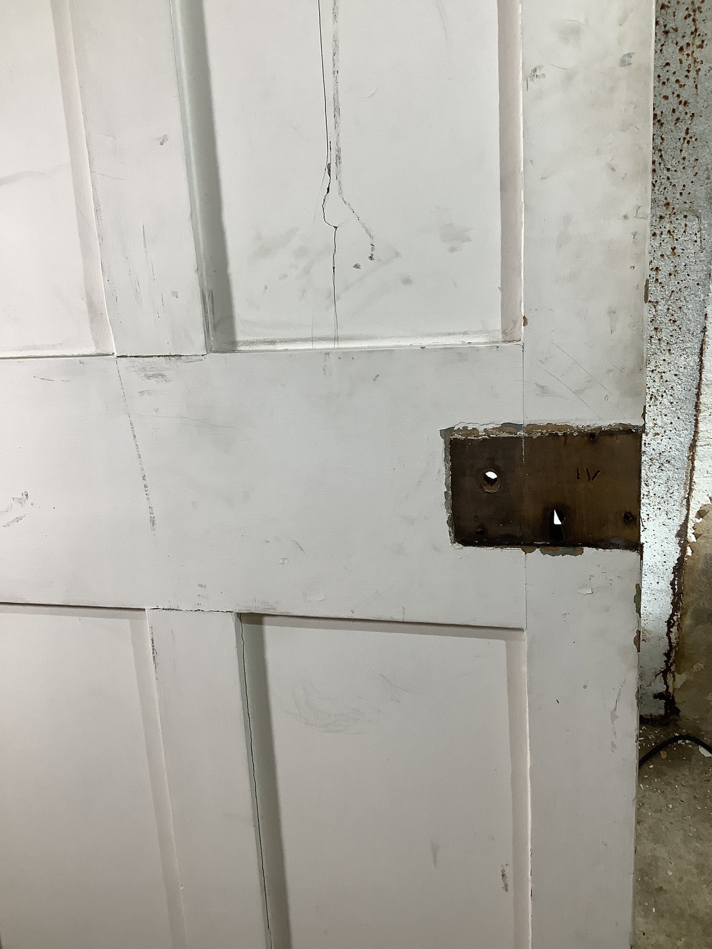 11th Pic Victorian Internal Painted Pine Reclaimed Door
