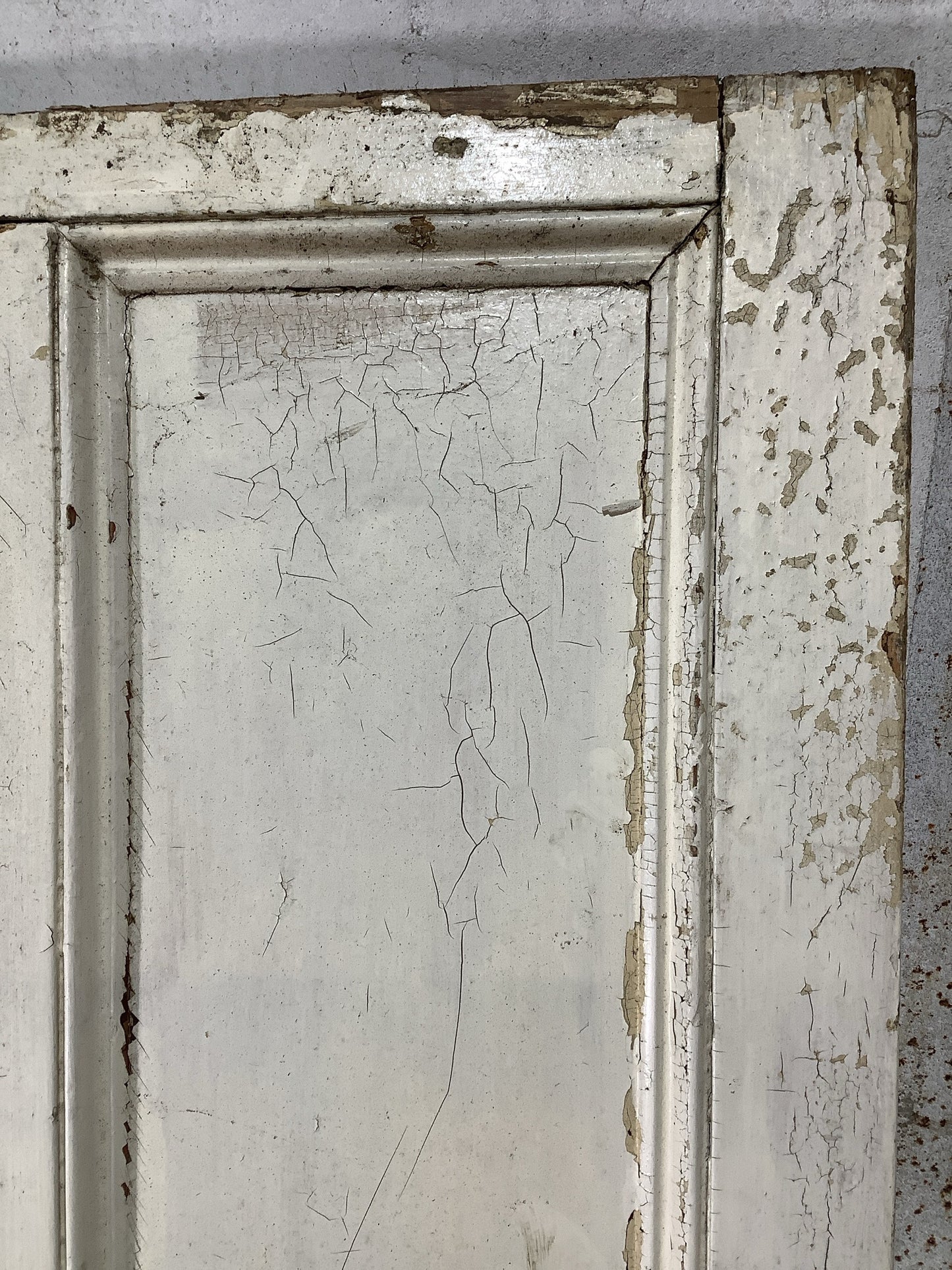 6th Pic Victorian Internal Painted Pine Reclaimed Door