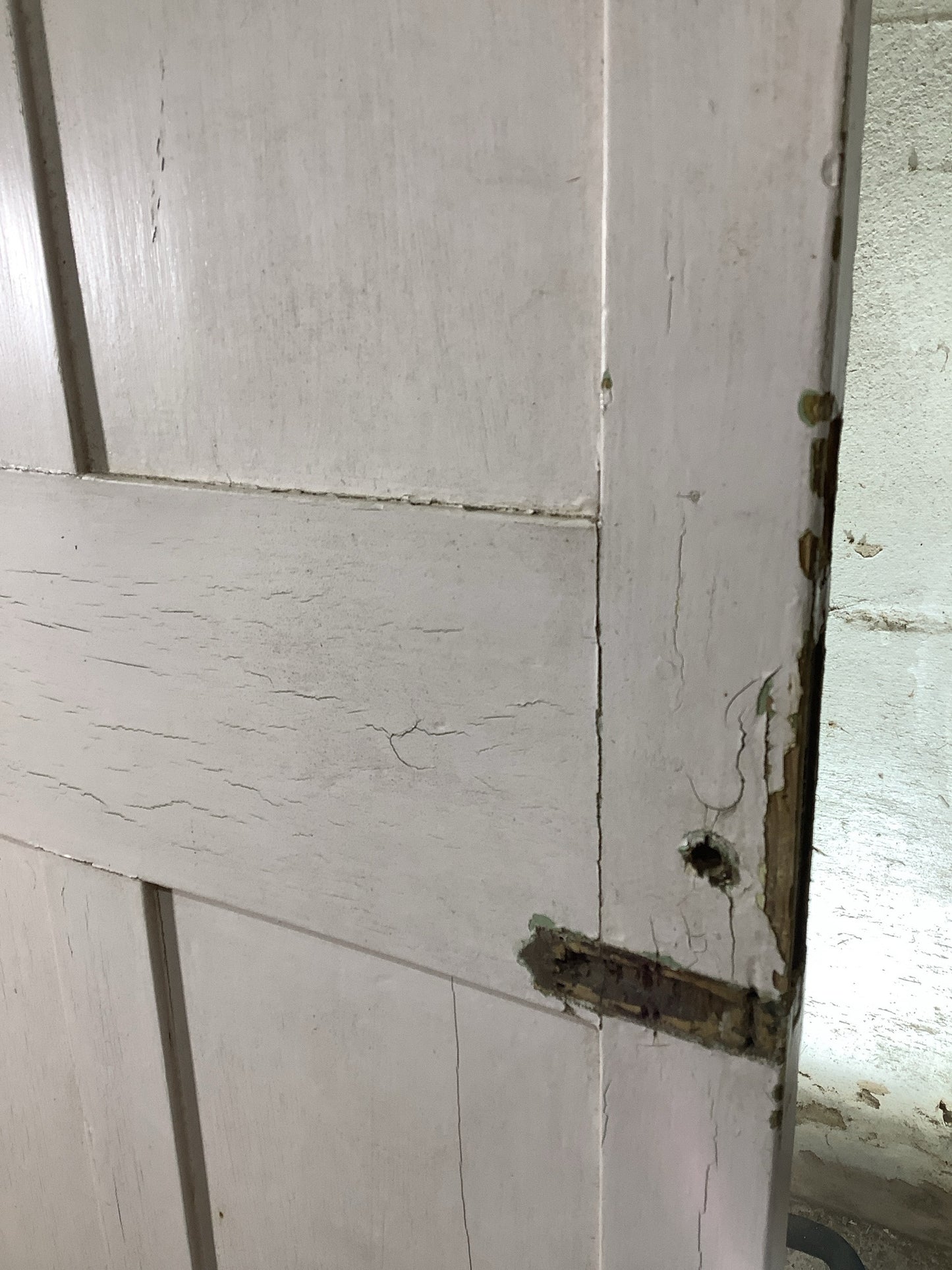 10th Pic Victorian Internal Painted Pine Reclaimed Door