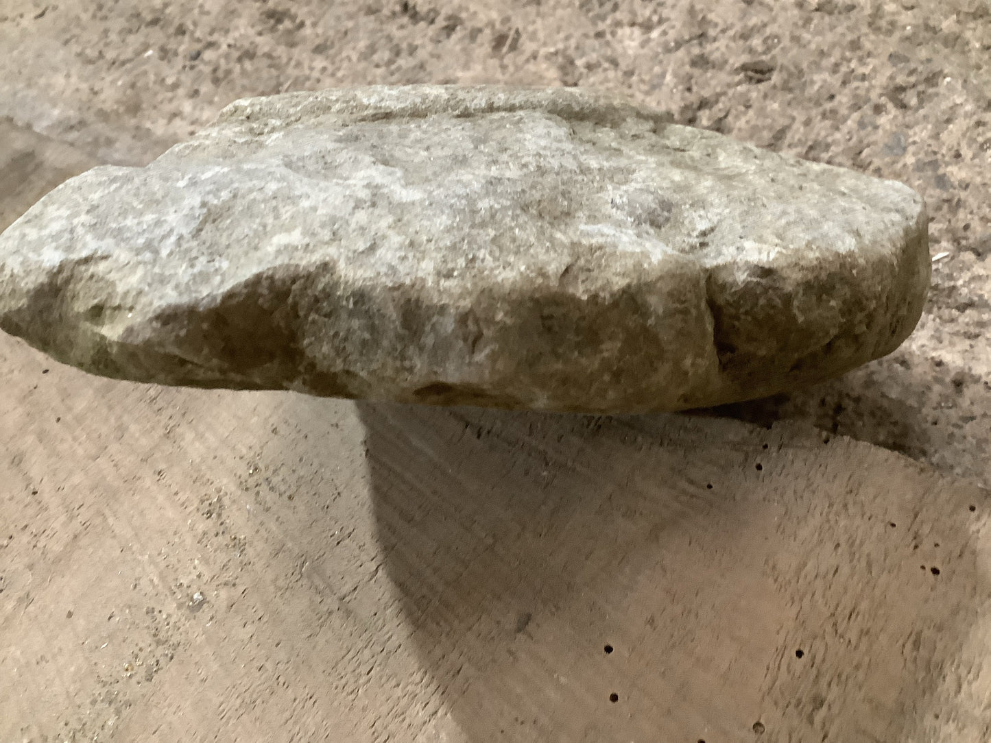 Natural Somerset Limestone Stone Fossil