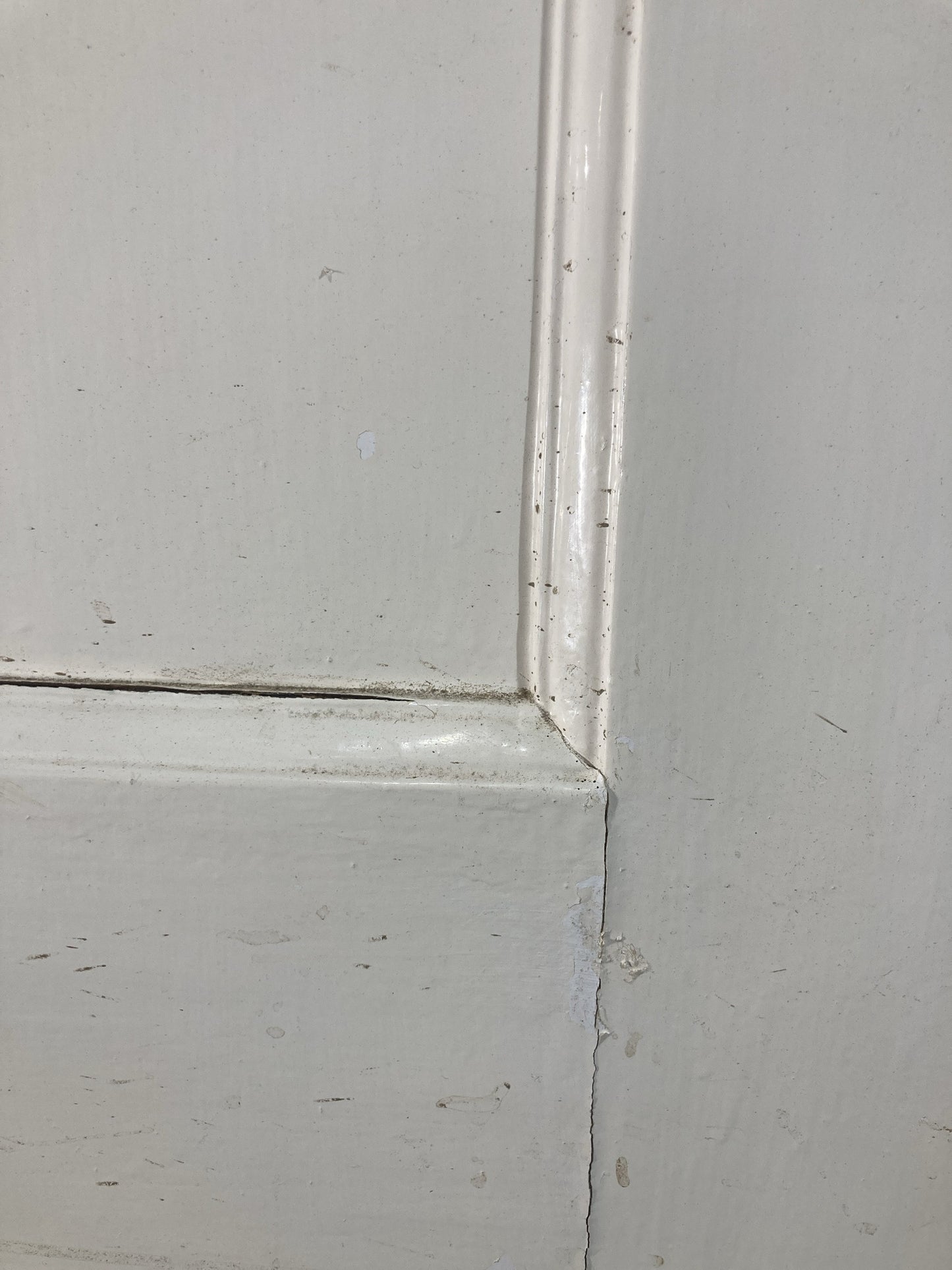 6th Pic 1930s Internal Painted Pine Reclaimed Door