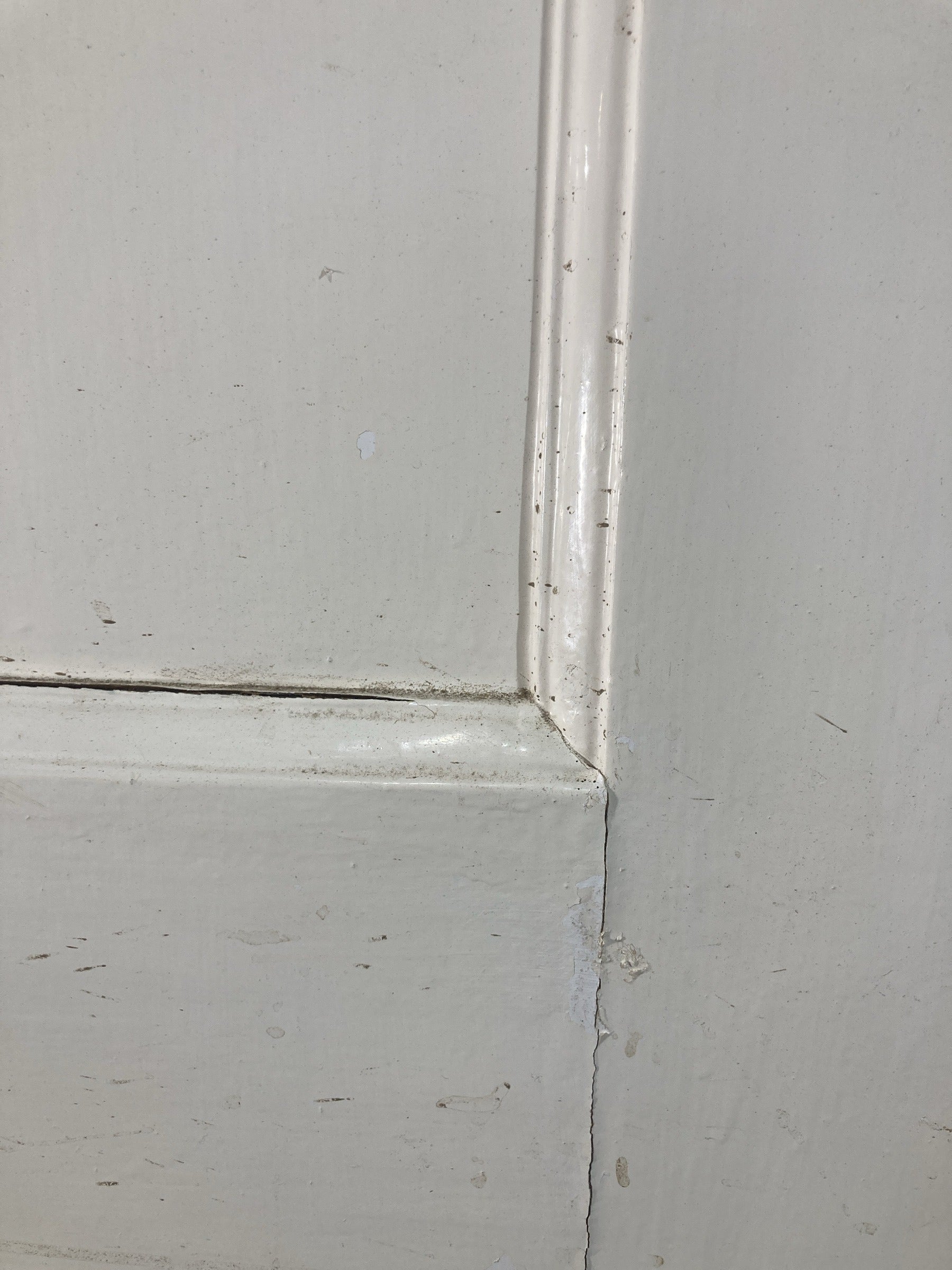 6th Pic 1930s Internal Painted  Pine Reclaimed Door