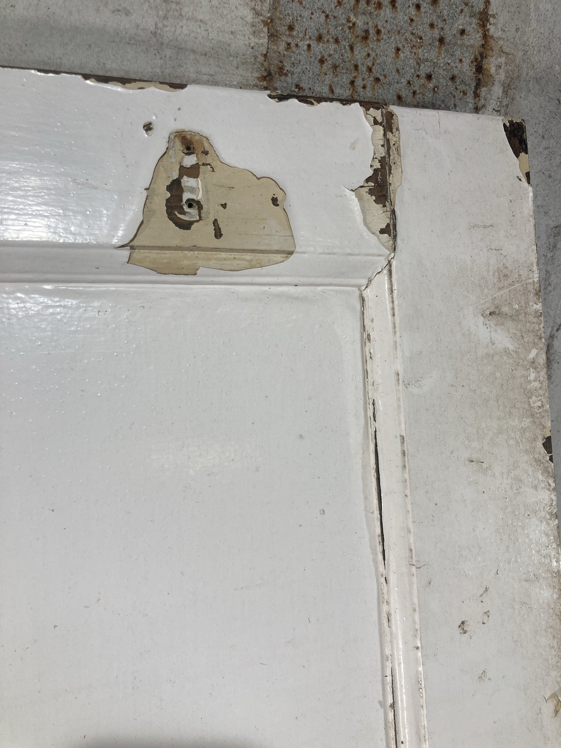 12th Pic 1930s Internal Painted  Pine Reclaimed Door