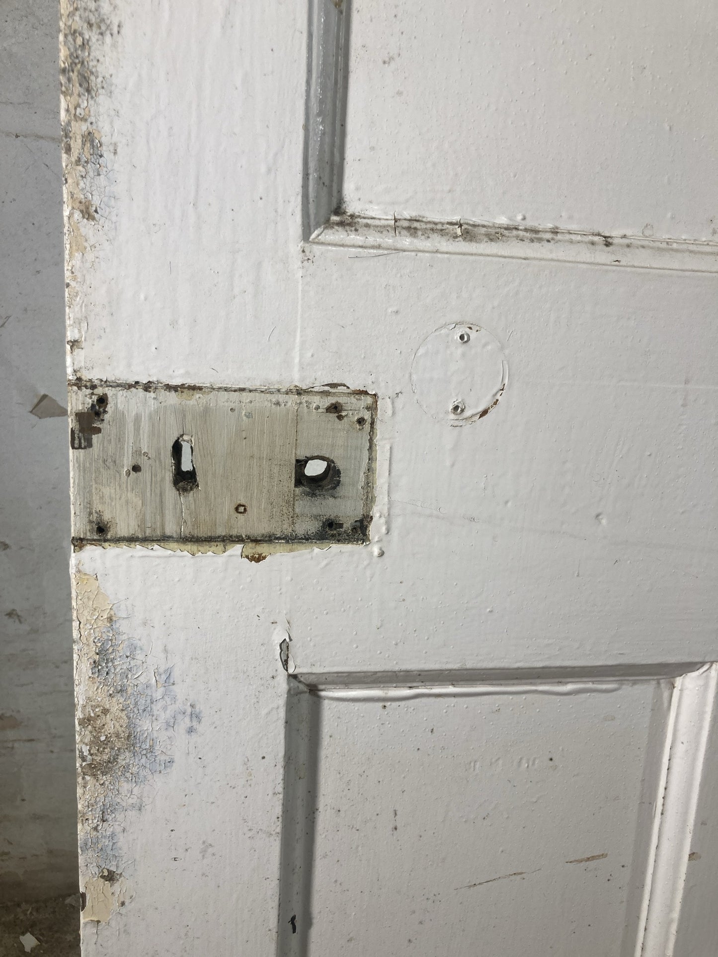 10th Pic 1930s Internal Painted Pine Reclaimed Door