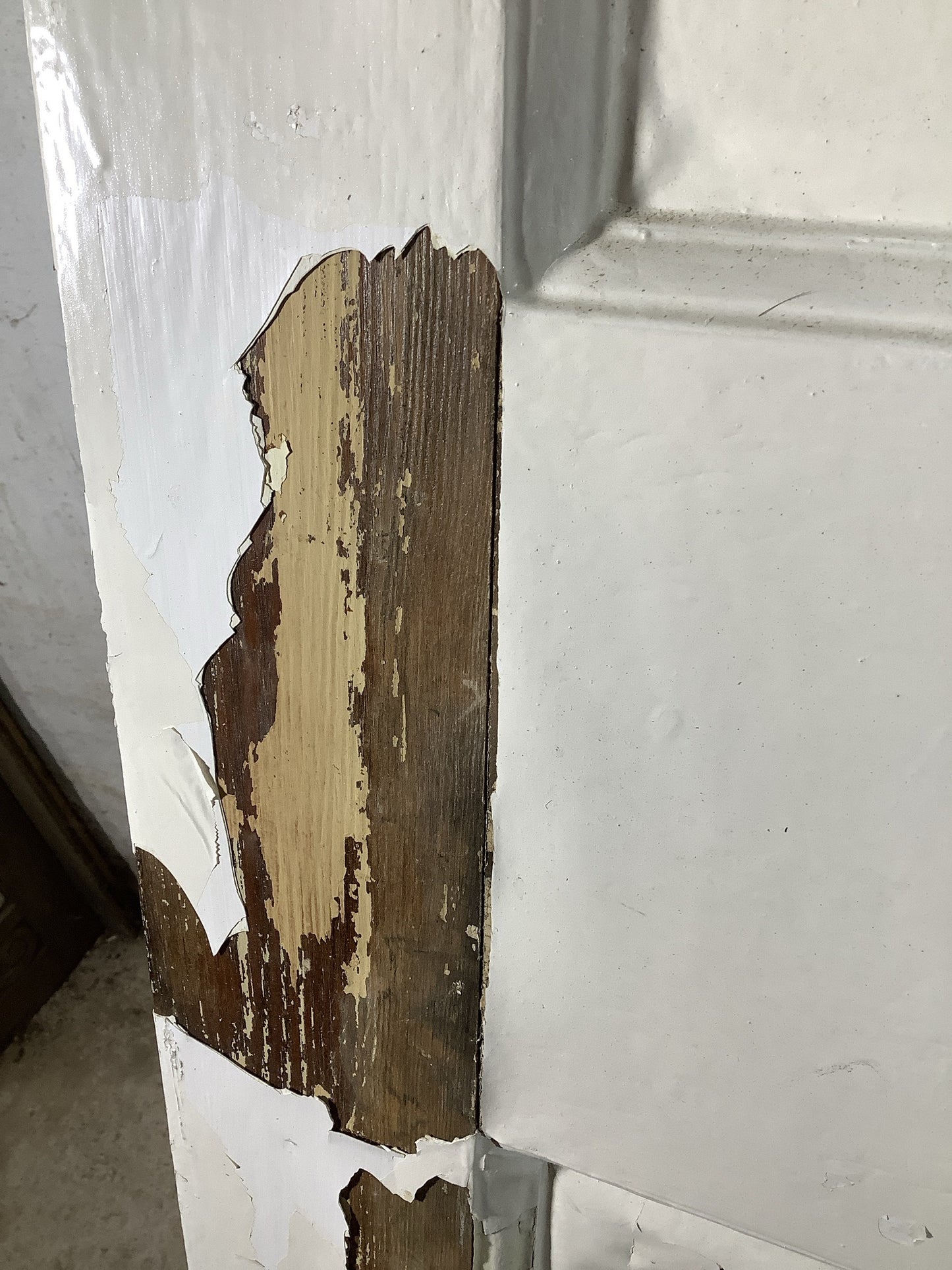 6th Pic 1930s Internal Painted Pine Reclaimed Door