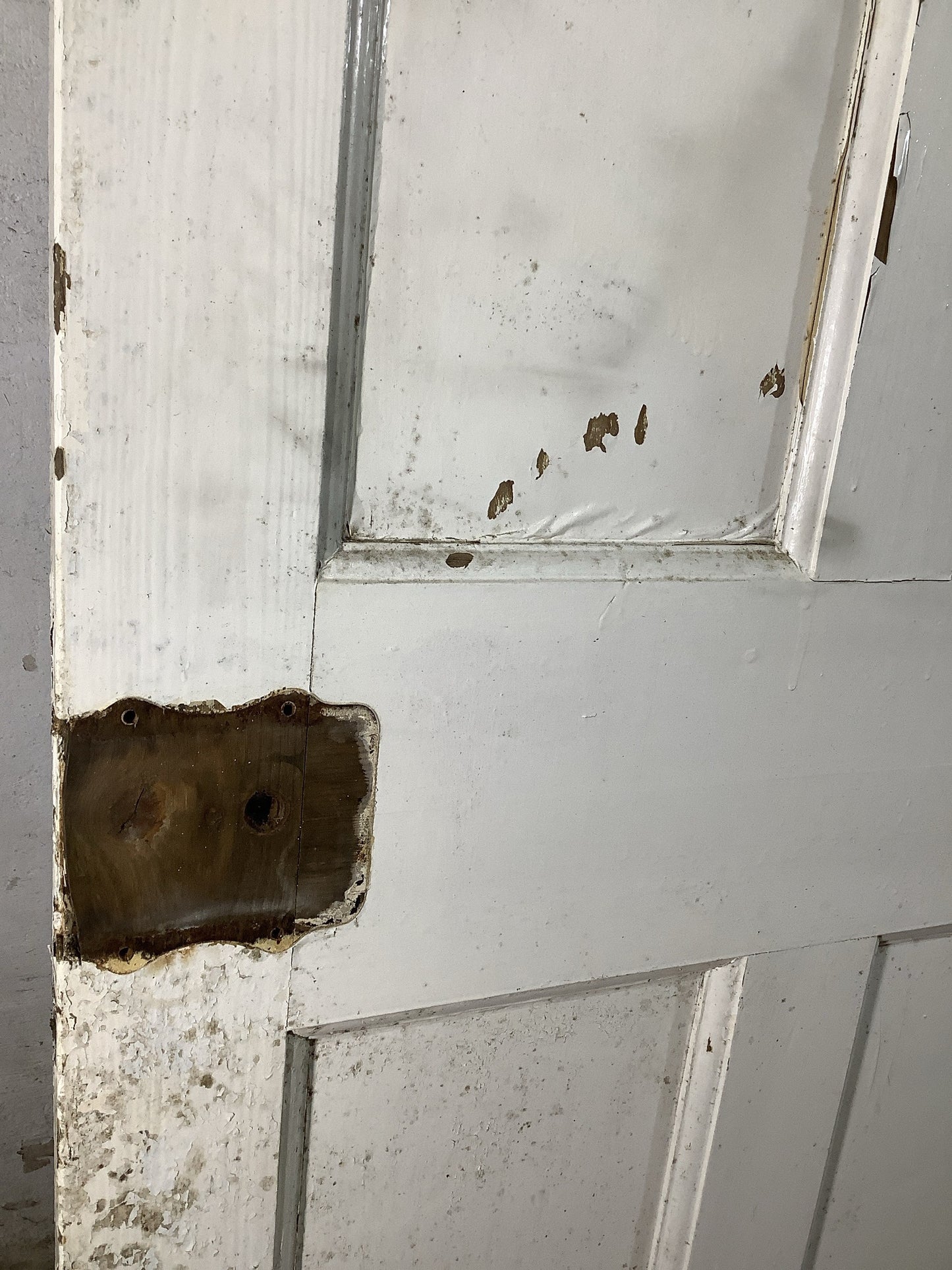 10th Pic 1930s Internal Painted Pine Reclaimed Door