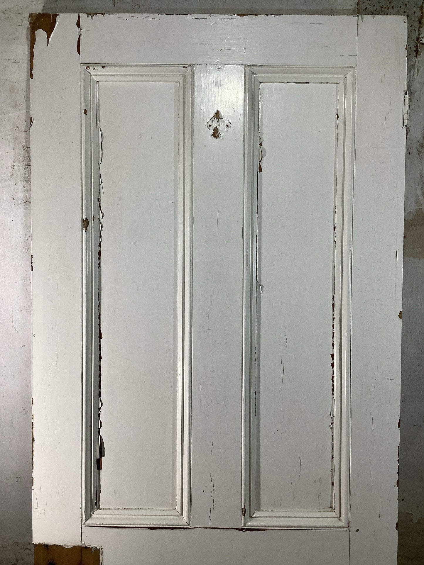 8th Pic Victorian Internal Painted Pine Reclaimed Door