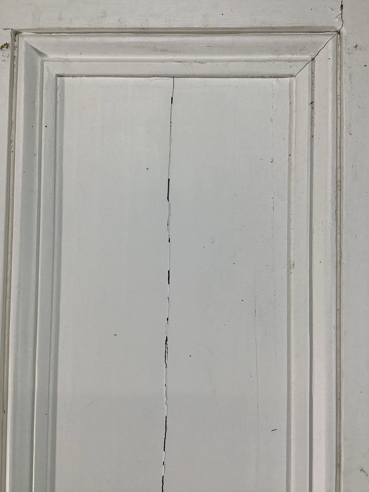 11th Pic Victorian Internal Painted Pine Reclaimed Door