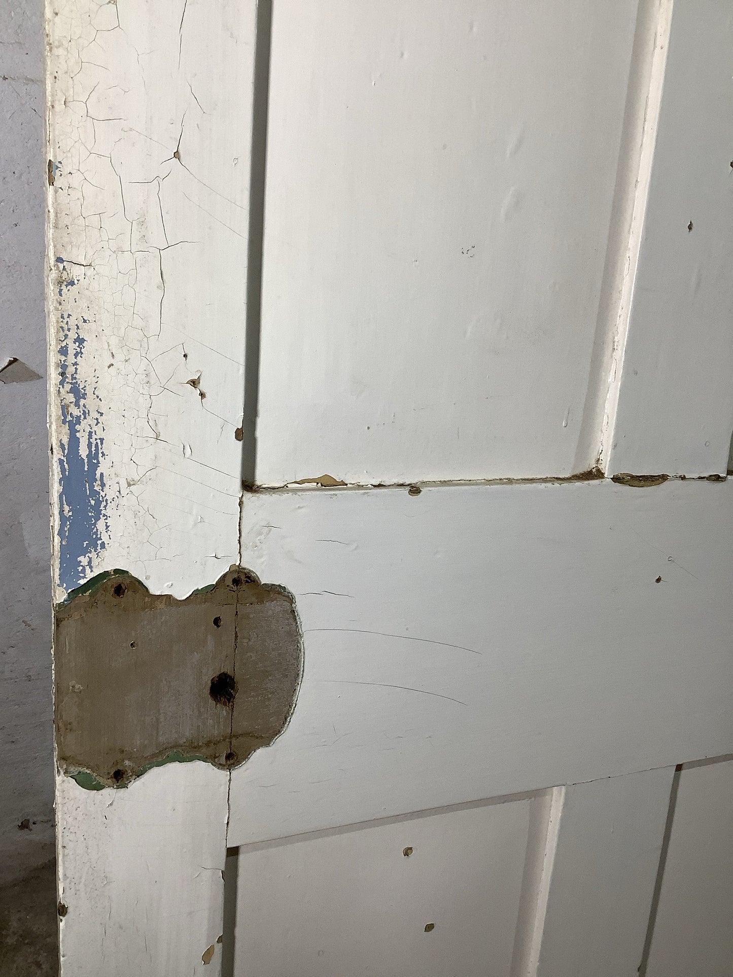 4th Pic Victorian Internal Painted Pine Reclaimed Door