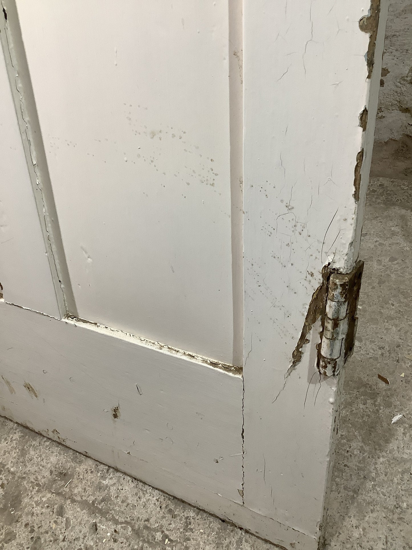 6th Pic Victorian Internal Painted Pine Reclaimed Door